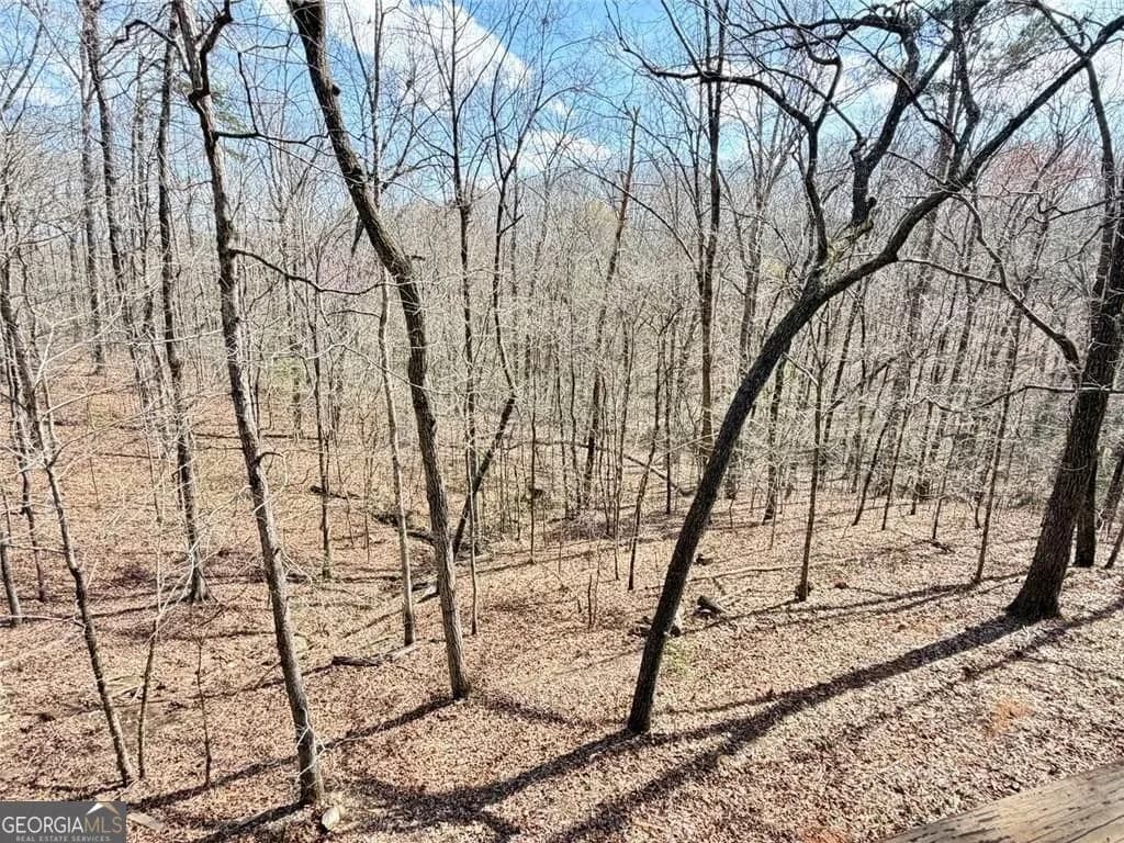 9011 Highpoint Rd — photo 54 of 69