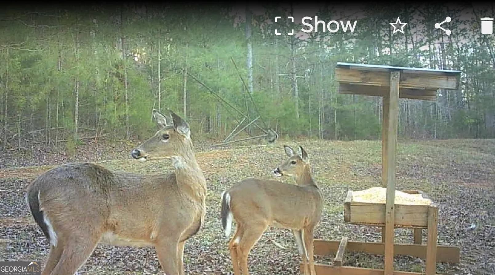 340 Noles Rd — photo 25 of 31