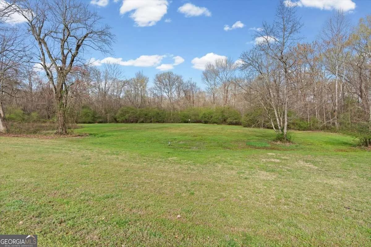 1828 Austin Bridge Rd — photo 80 of 99
