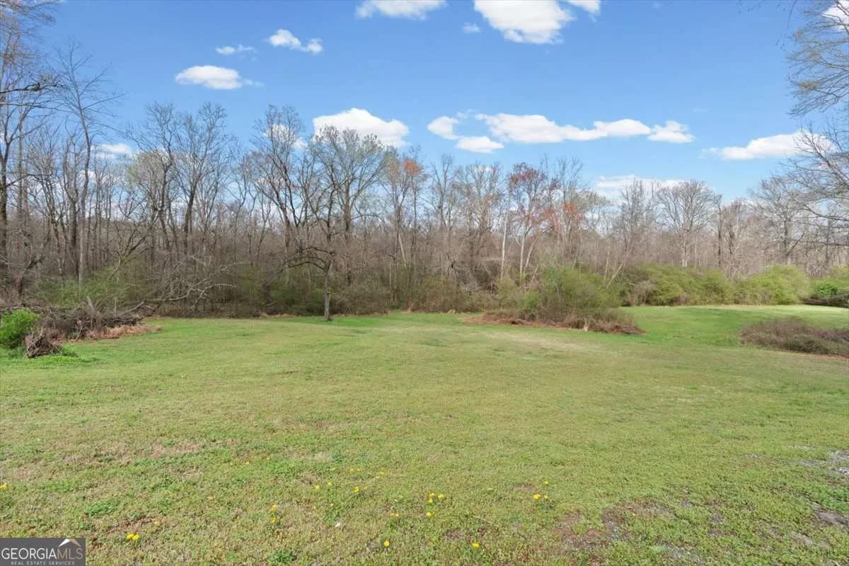 1828 Austin Bridge Rd — photo 83 of 99