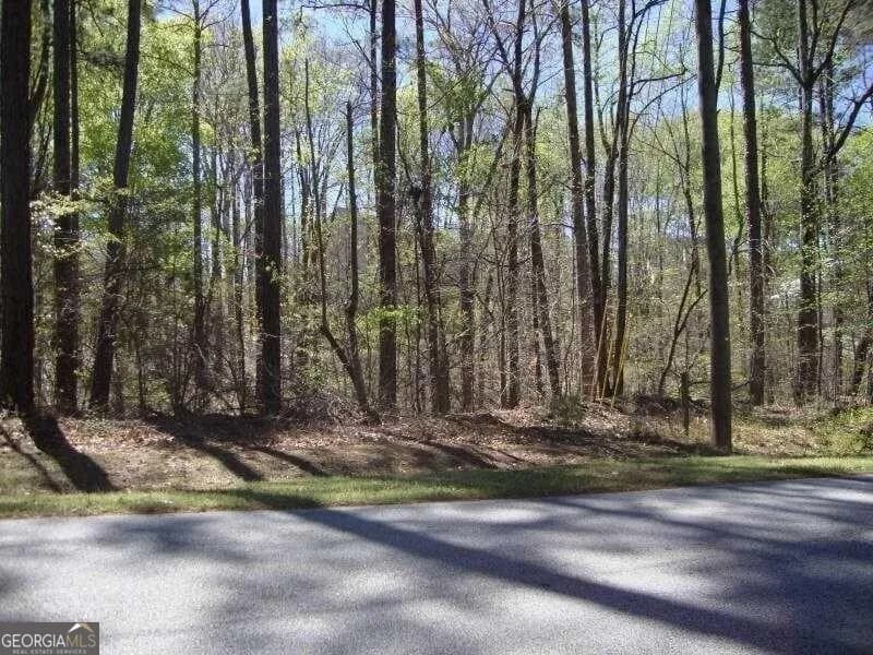 2515 Slater Mill Rd, Douglasville
