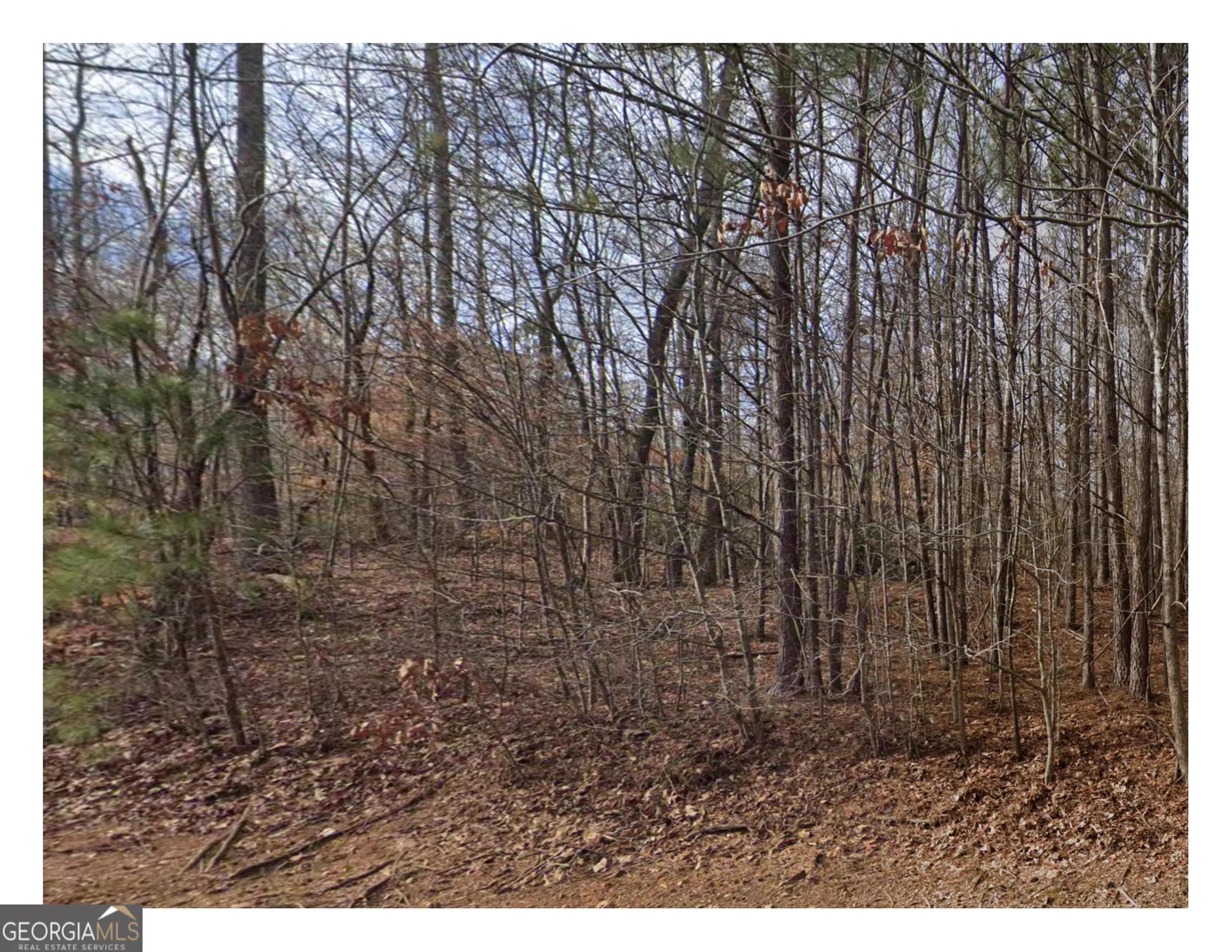 3281 Laura Ln — photo 3 of 3