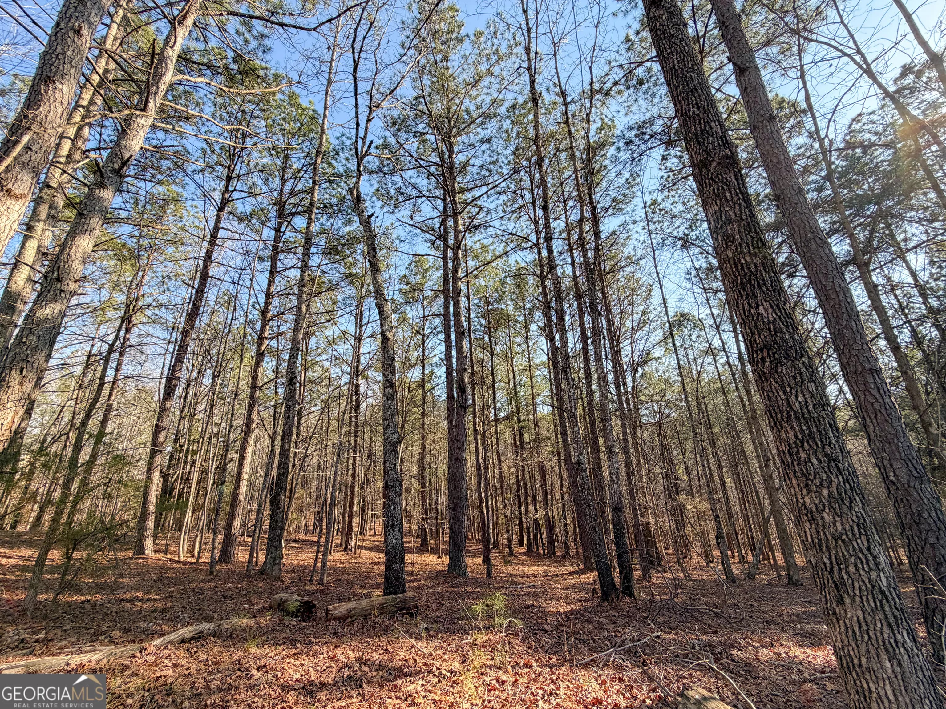0 W Union Hill Rd — photo 22 of 47