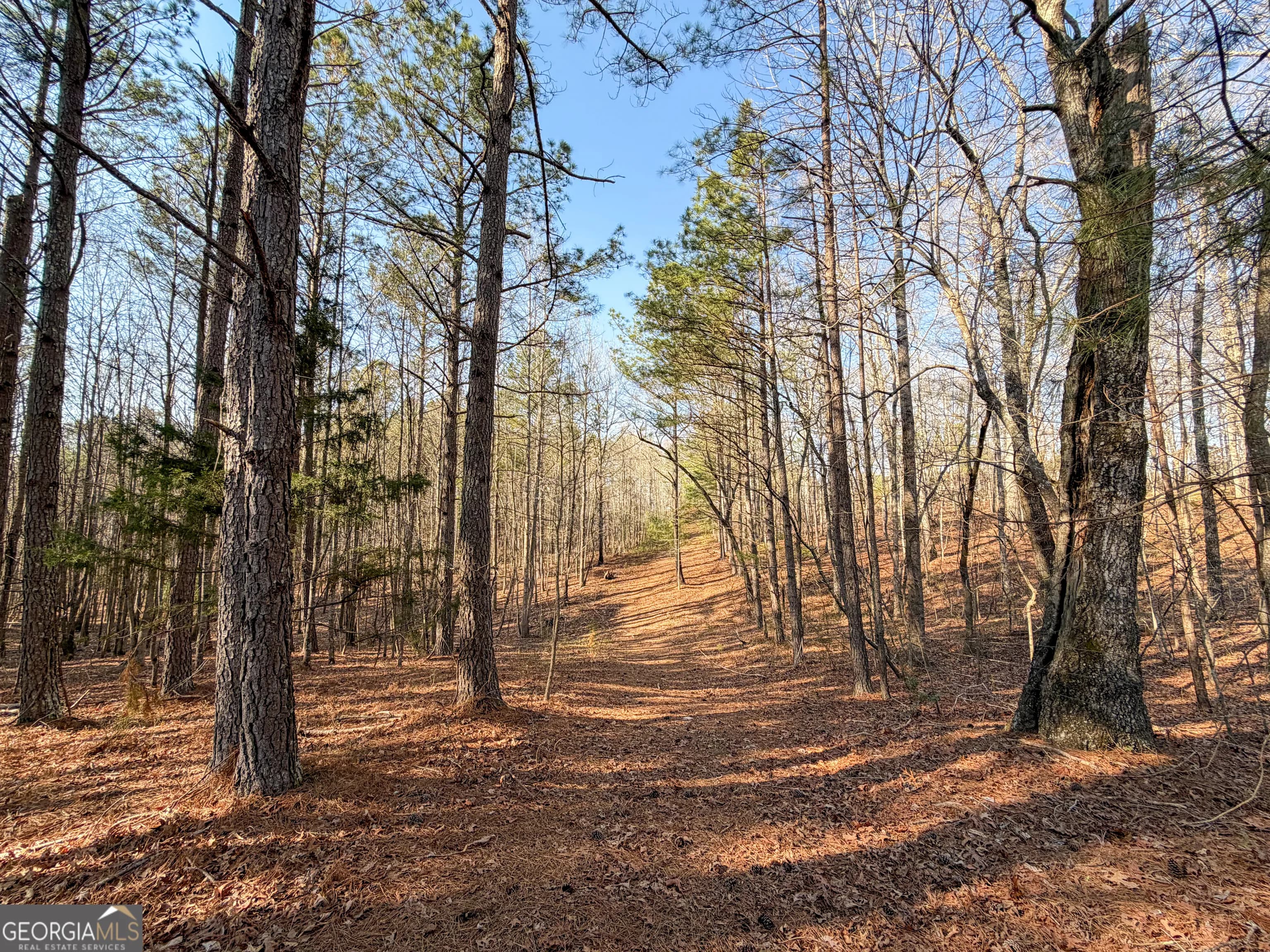 0 W Union Hill Rd — photo 20 of 47