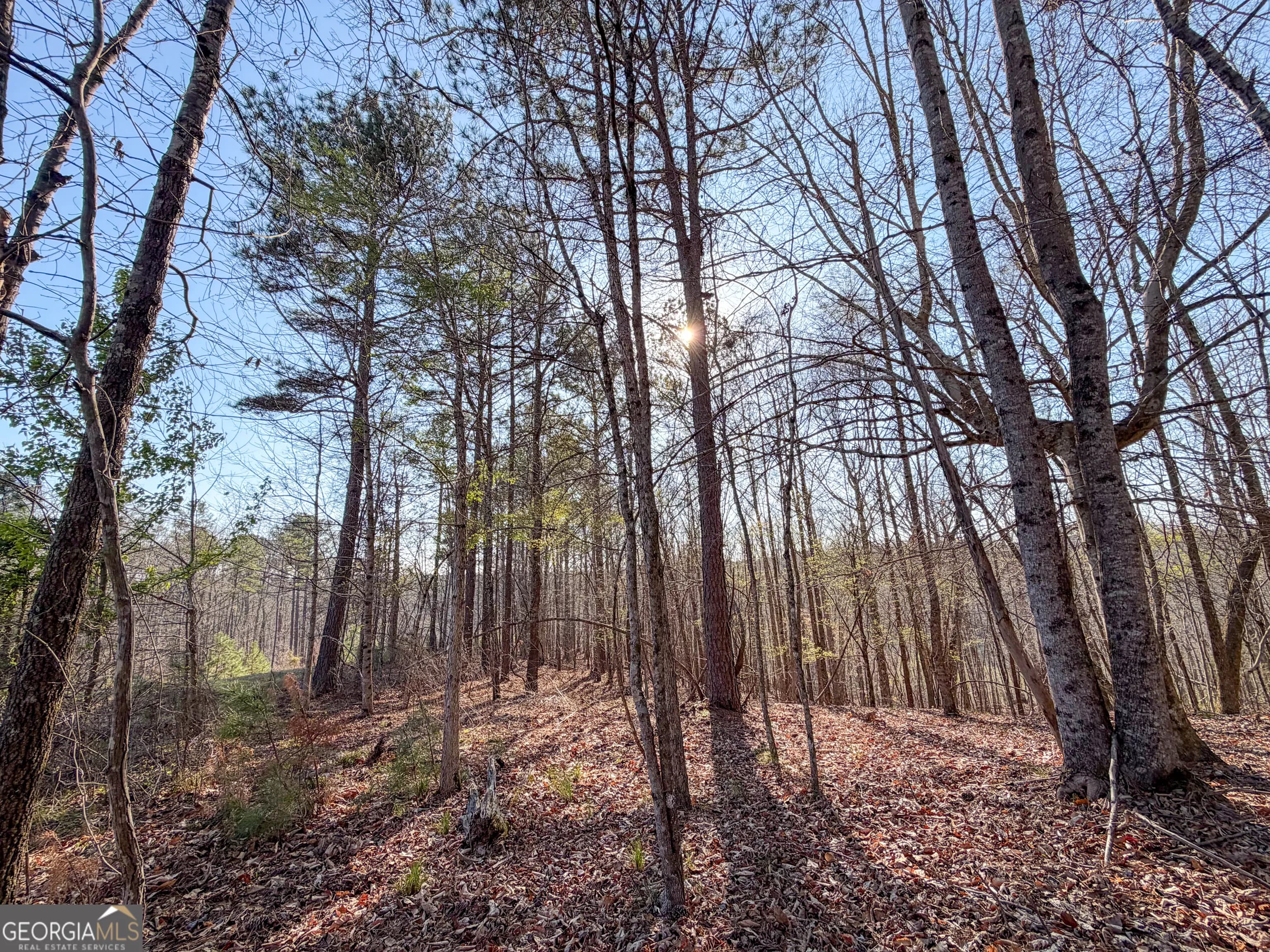 0 W Union Hill Rd — photo 37 of 47