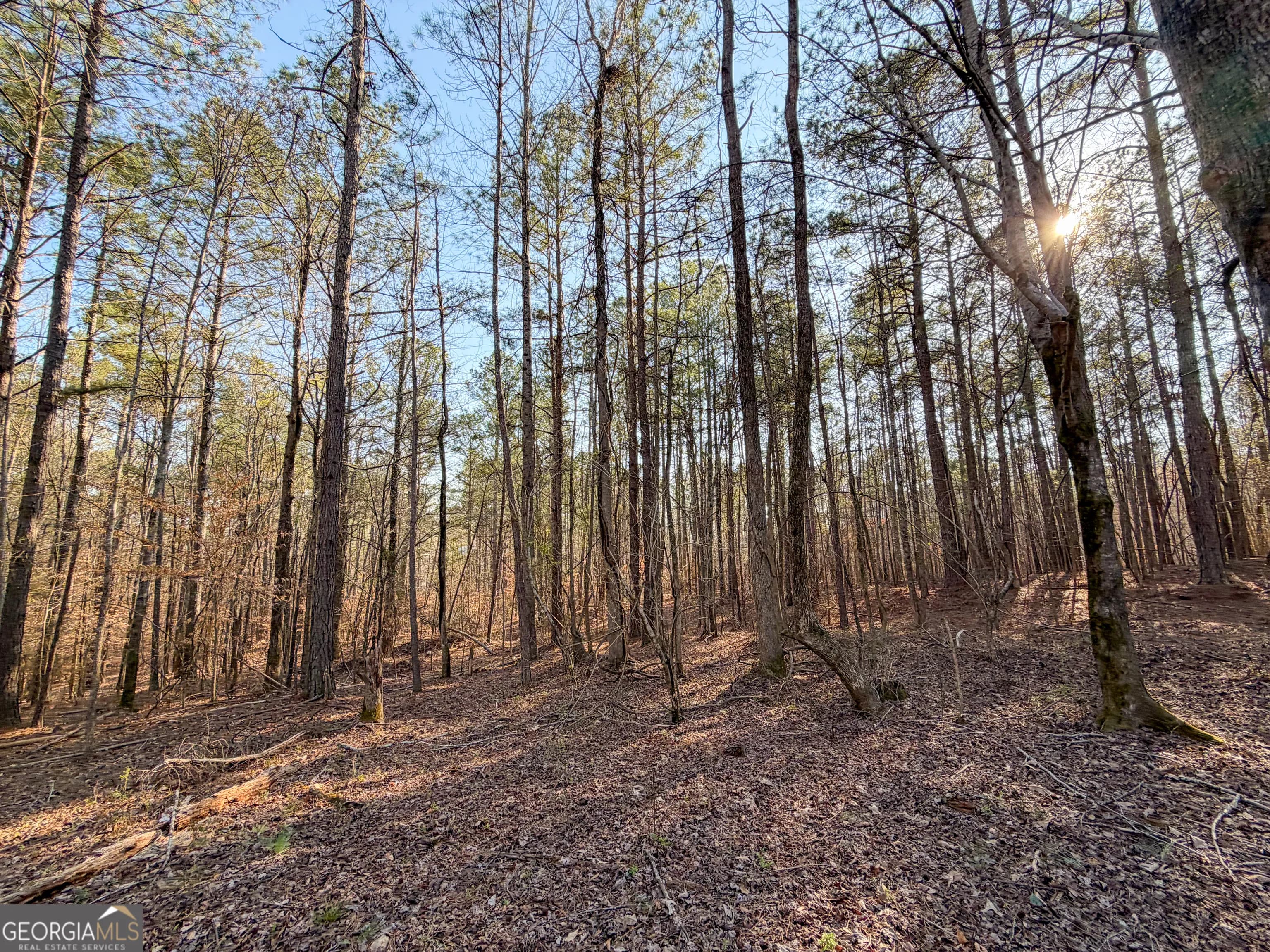 0 W Union Hill Rd — photo 40 of 47