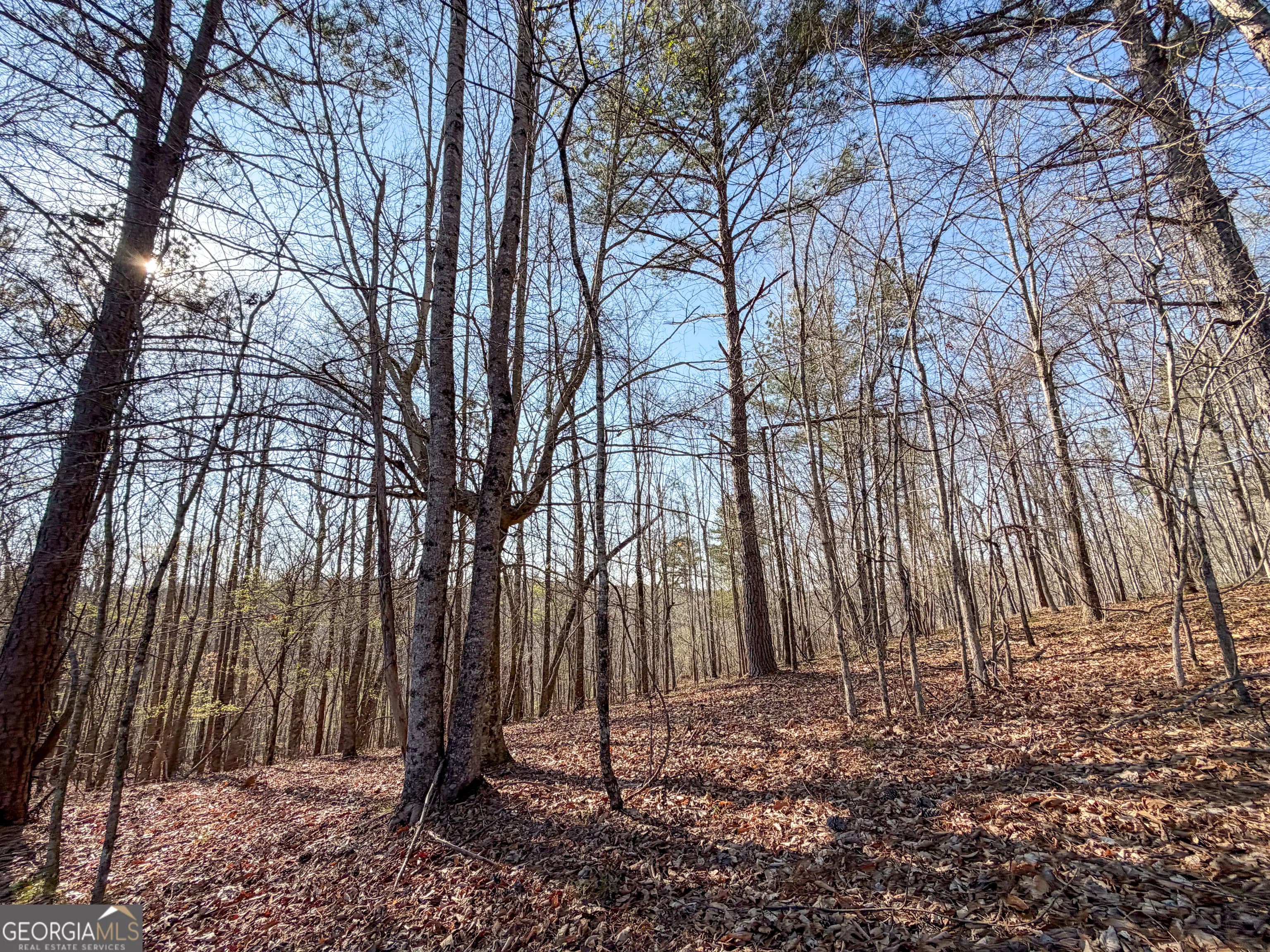0 W Union Hill Rd — photo 36 of 47