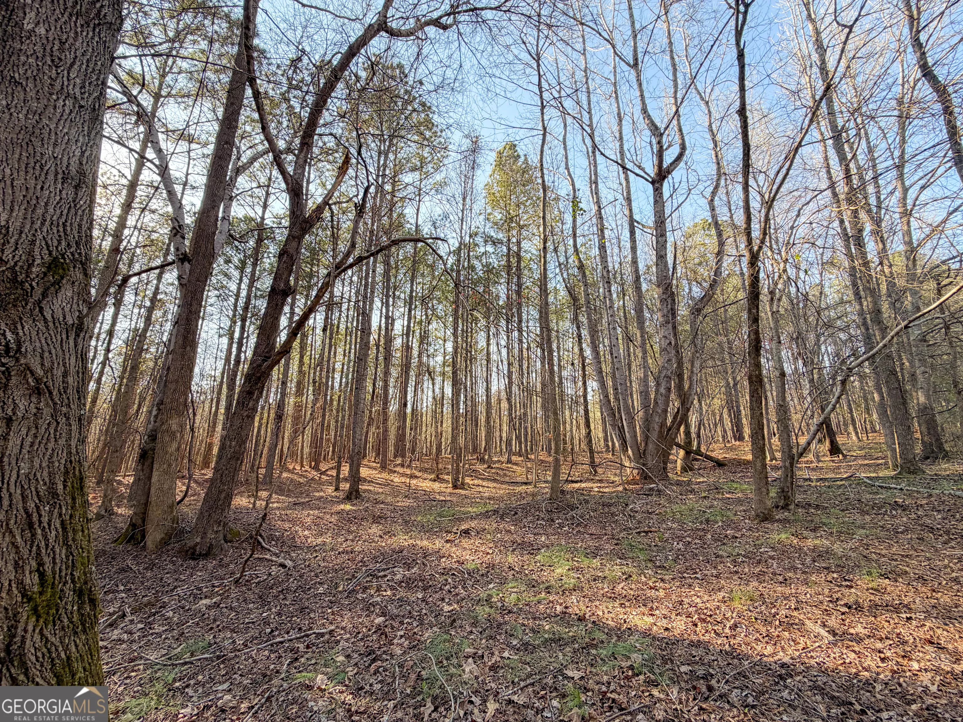 0 W Union Hill Rd — photo 41 of 47