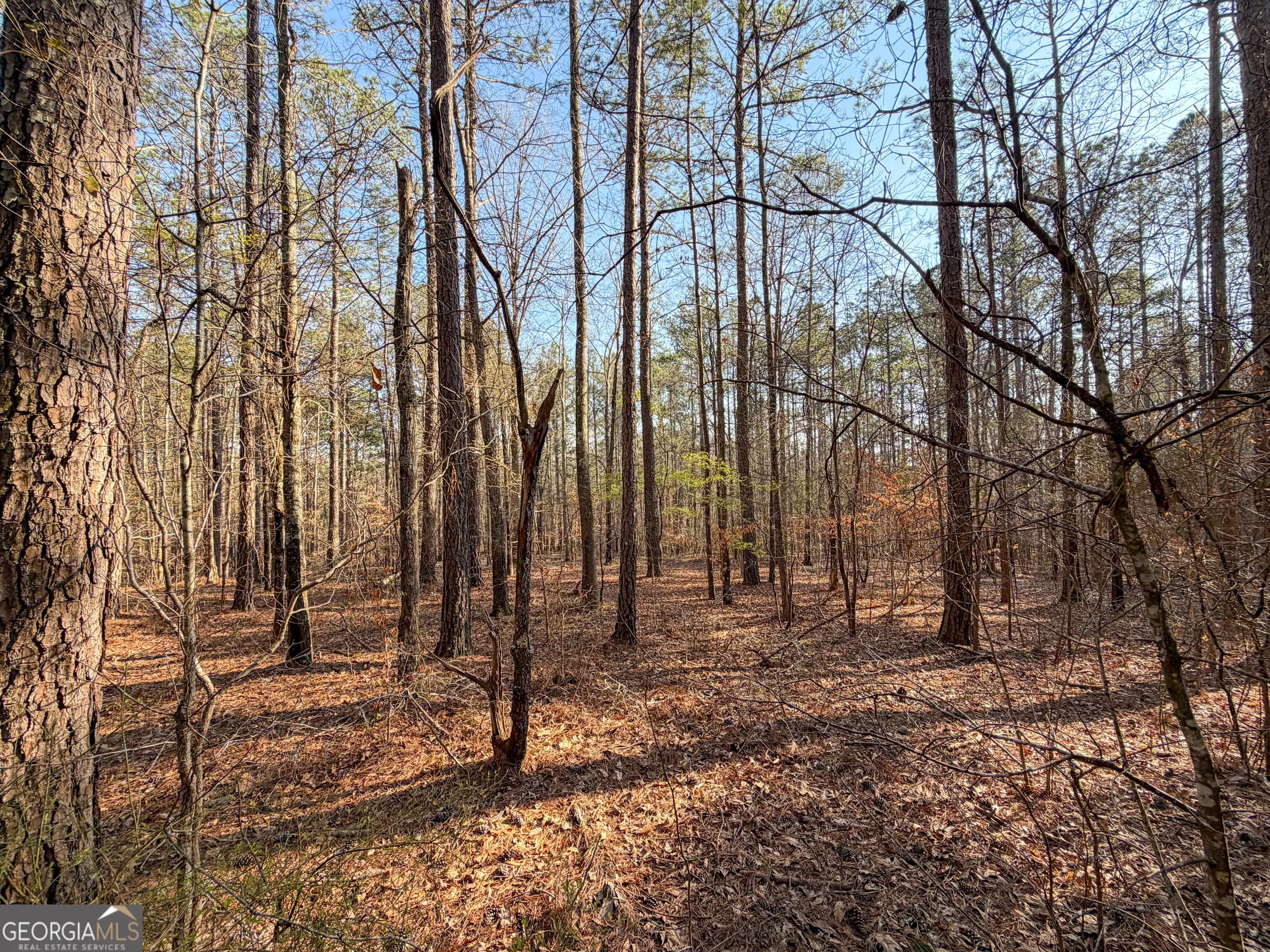 0 W Union Hill Rd — photo 42 of 47