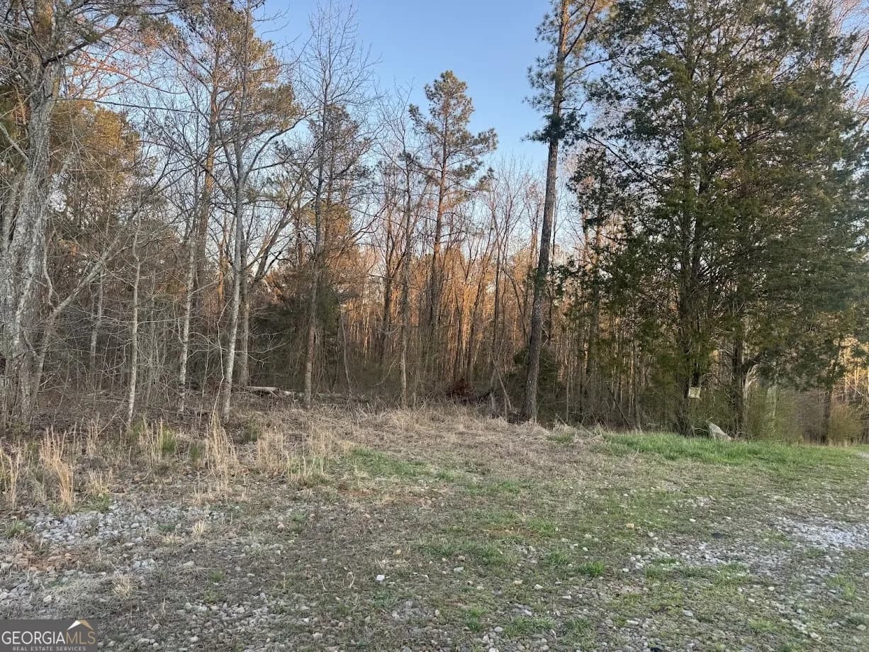 0 Clem Lowell Rd — photo 11 of 16