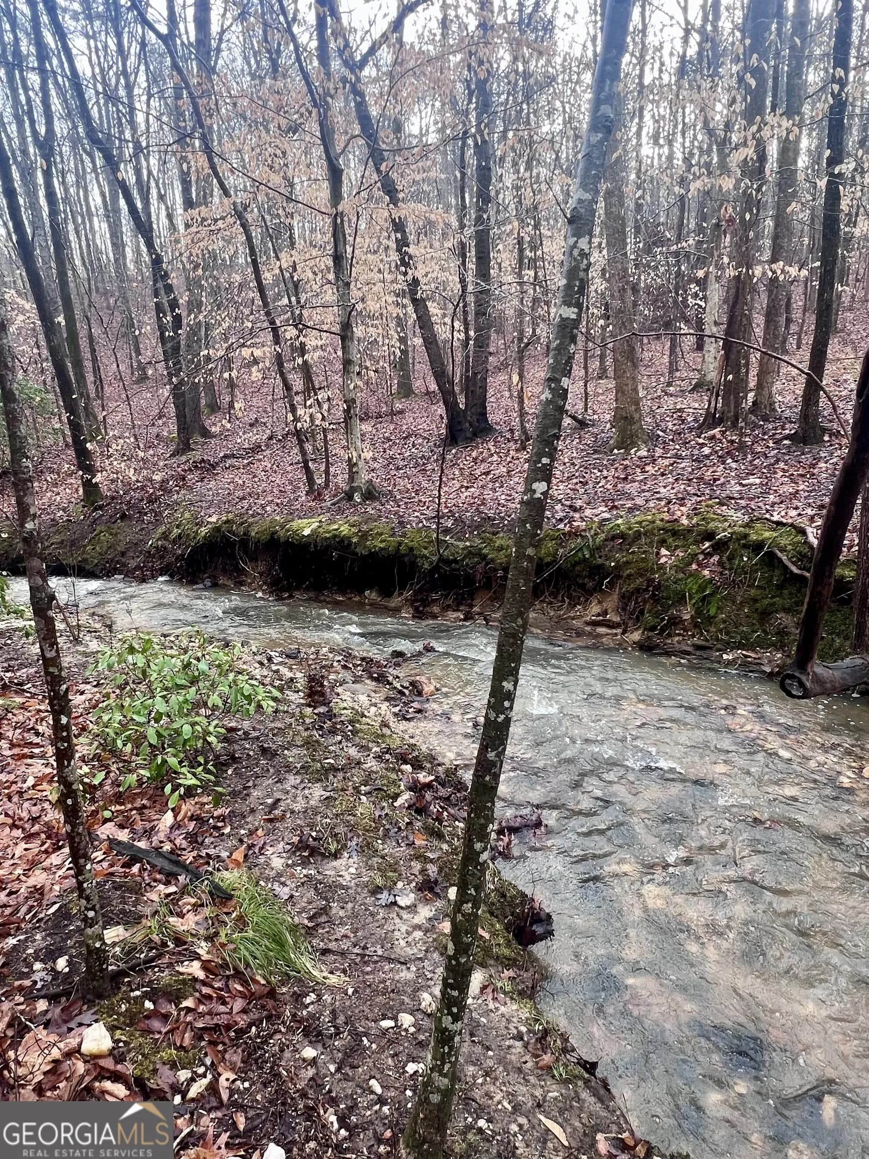 100 Buckwood Farms Path — photo 98 of 100