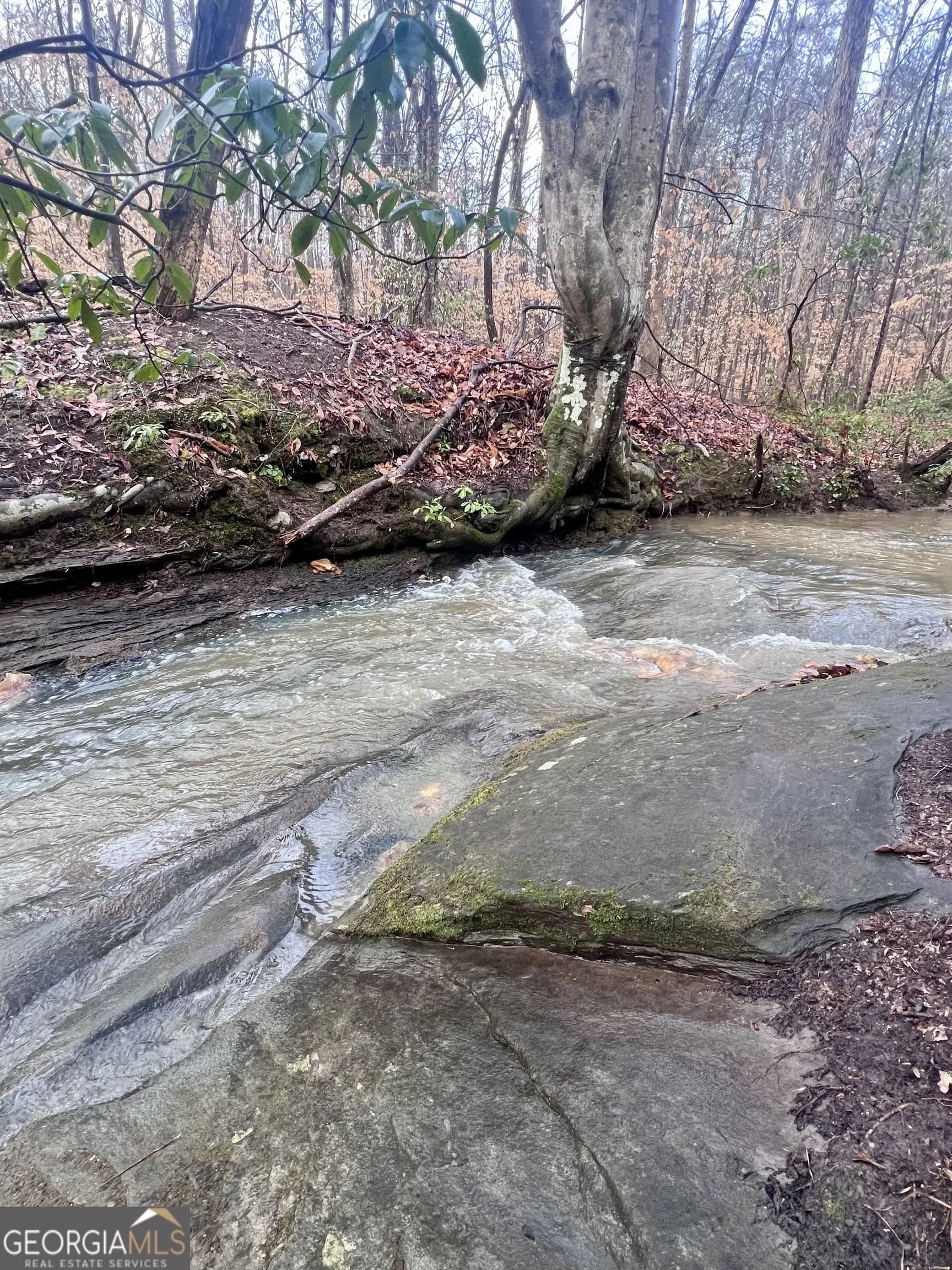 100 Buckwood Farms Path — photo 99 of 100