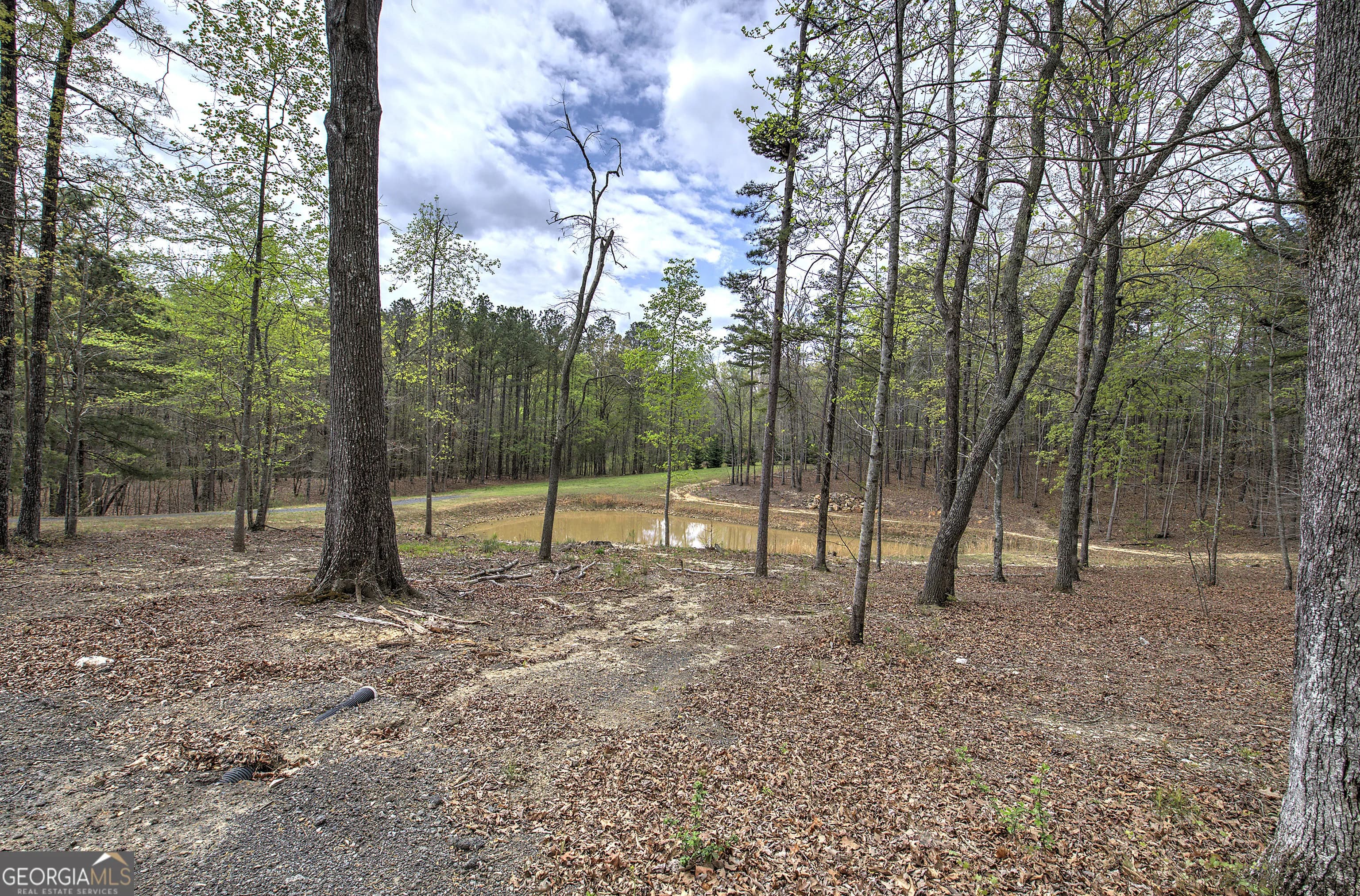 100 Buckwood Farms Path — photo 20 of 100