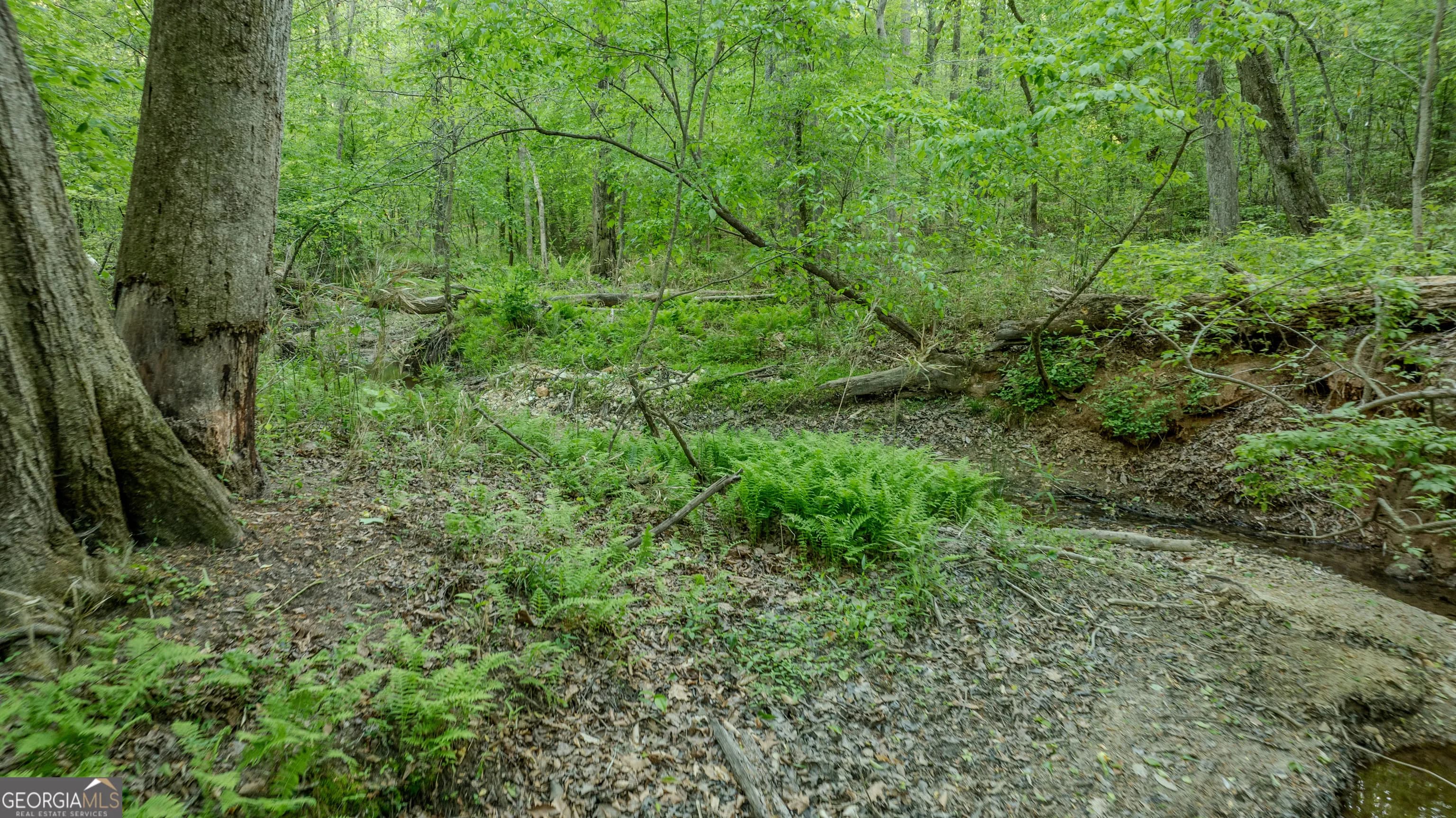 2218 Cross Plains Hulett Rd — photo 30 of 97