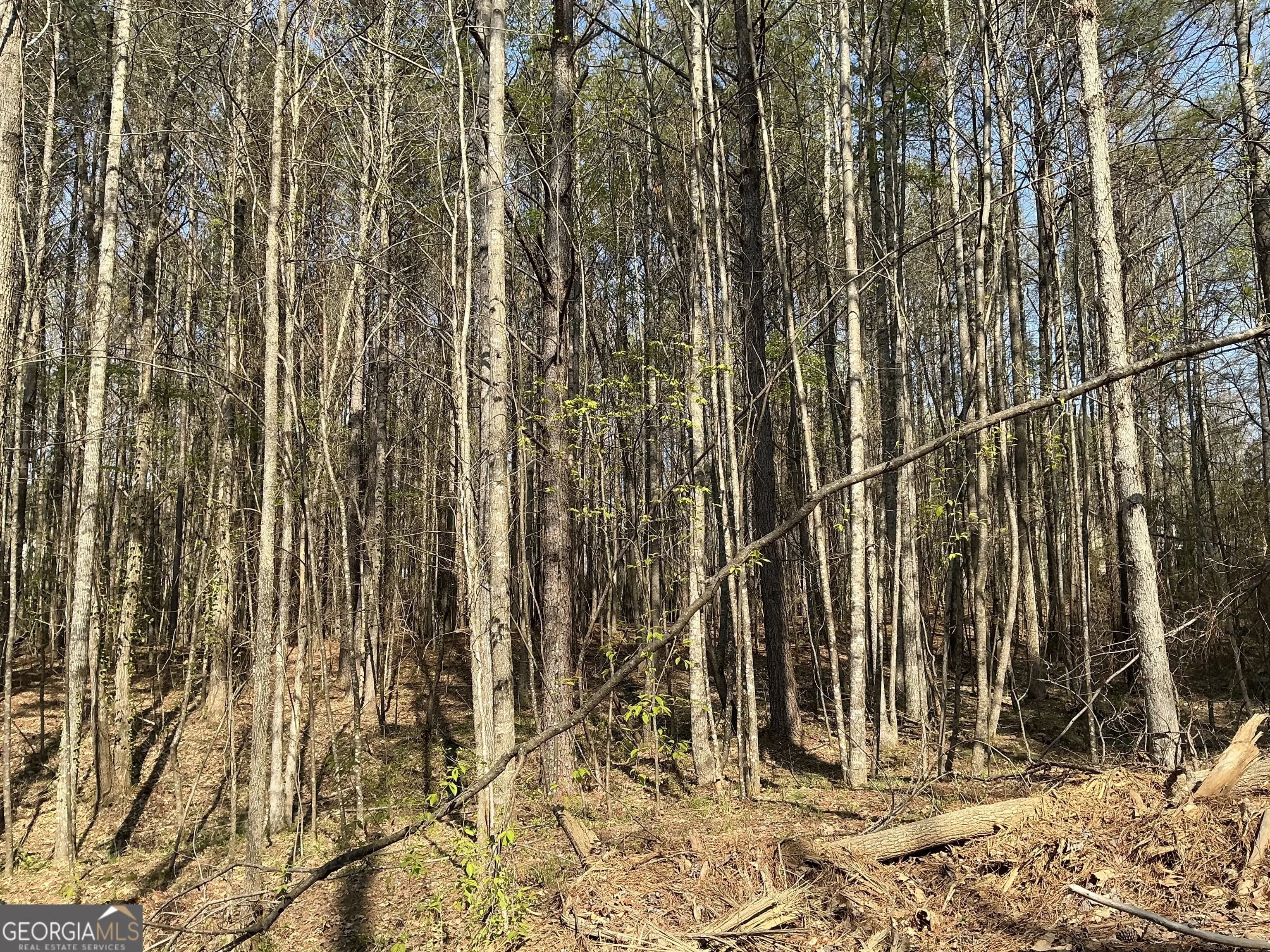 262 White Creek Loop — photo 7 of 8