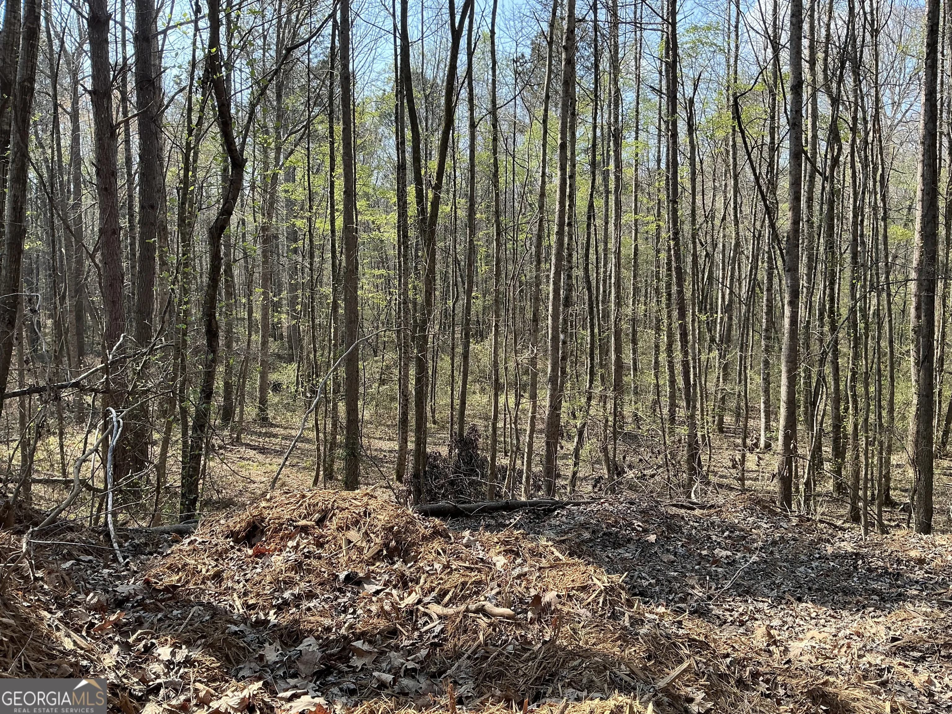 262 White Creek Loop — photo 5 of 8