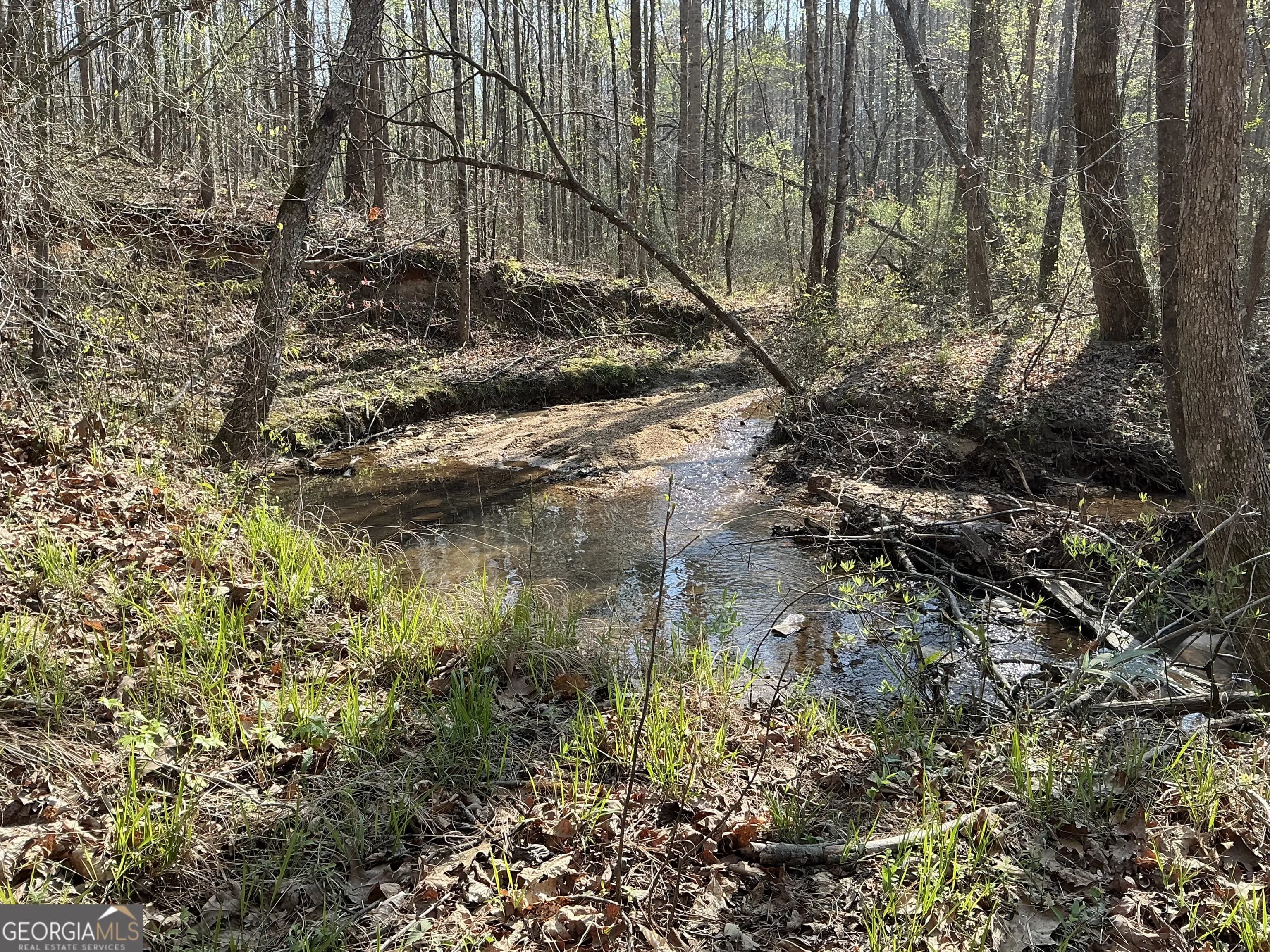 262 White Creek Loop — photo 8 of 8