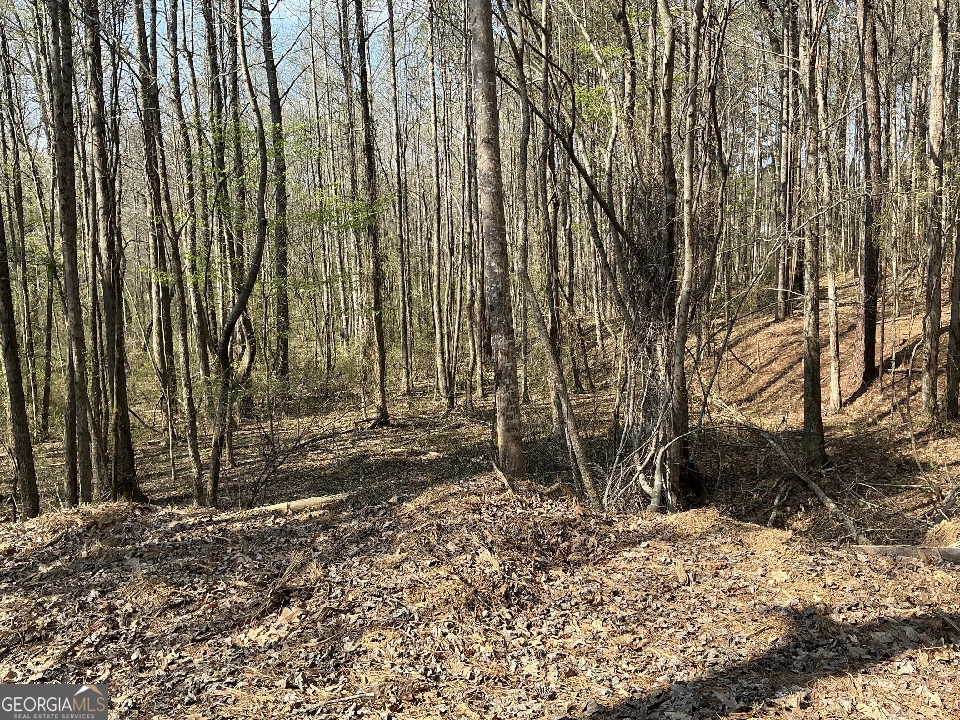 262 White Creek Loop — photo 4 of 8