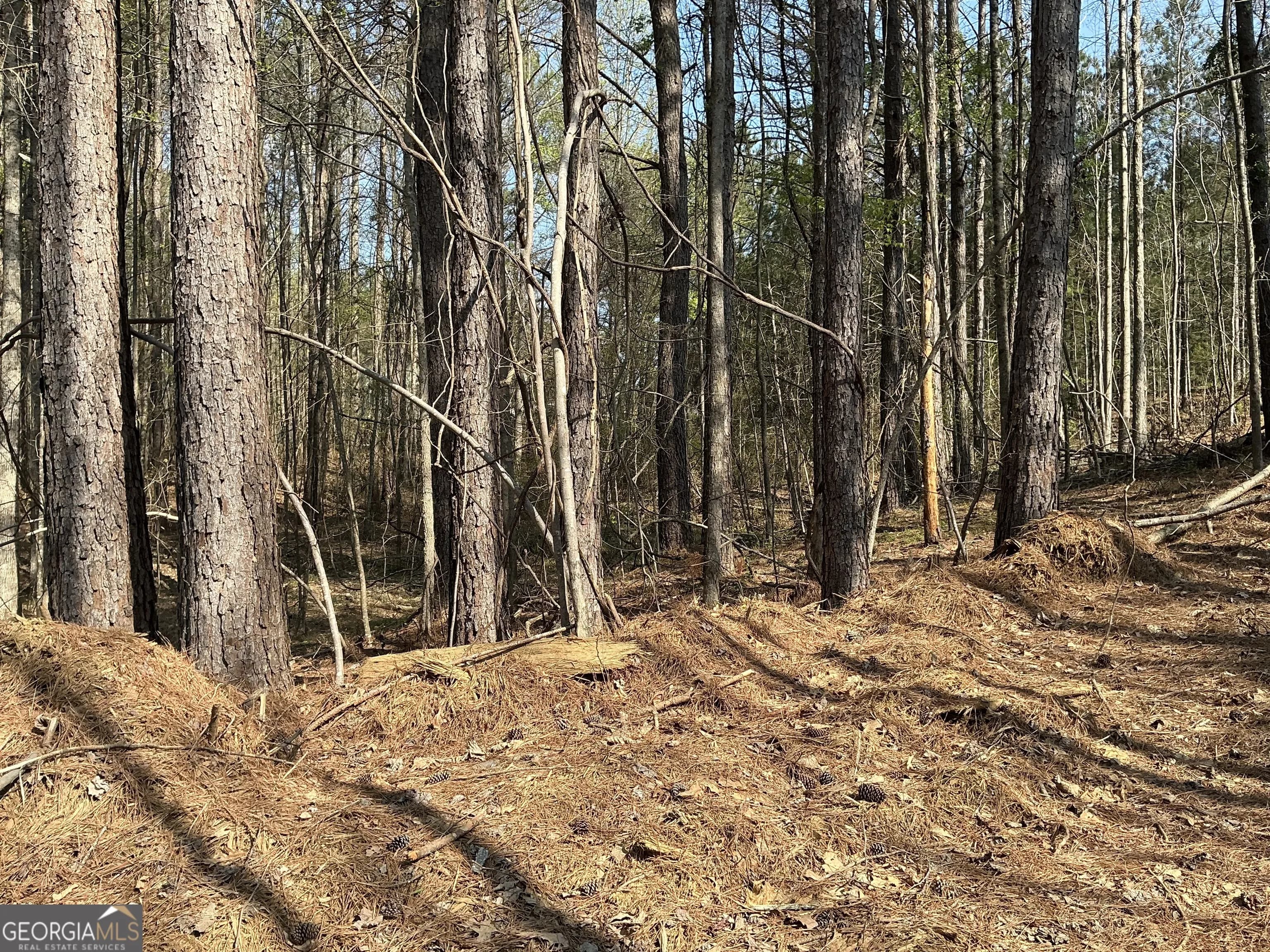 262 White Creek Loop — photo 3 of 8