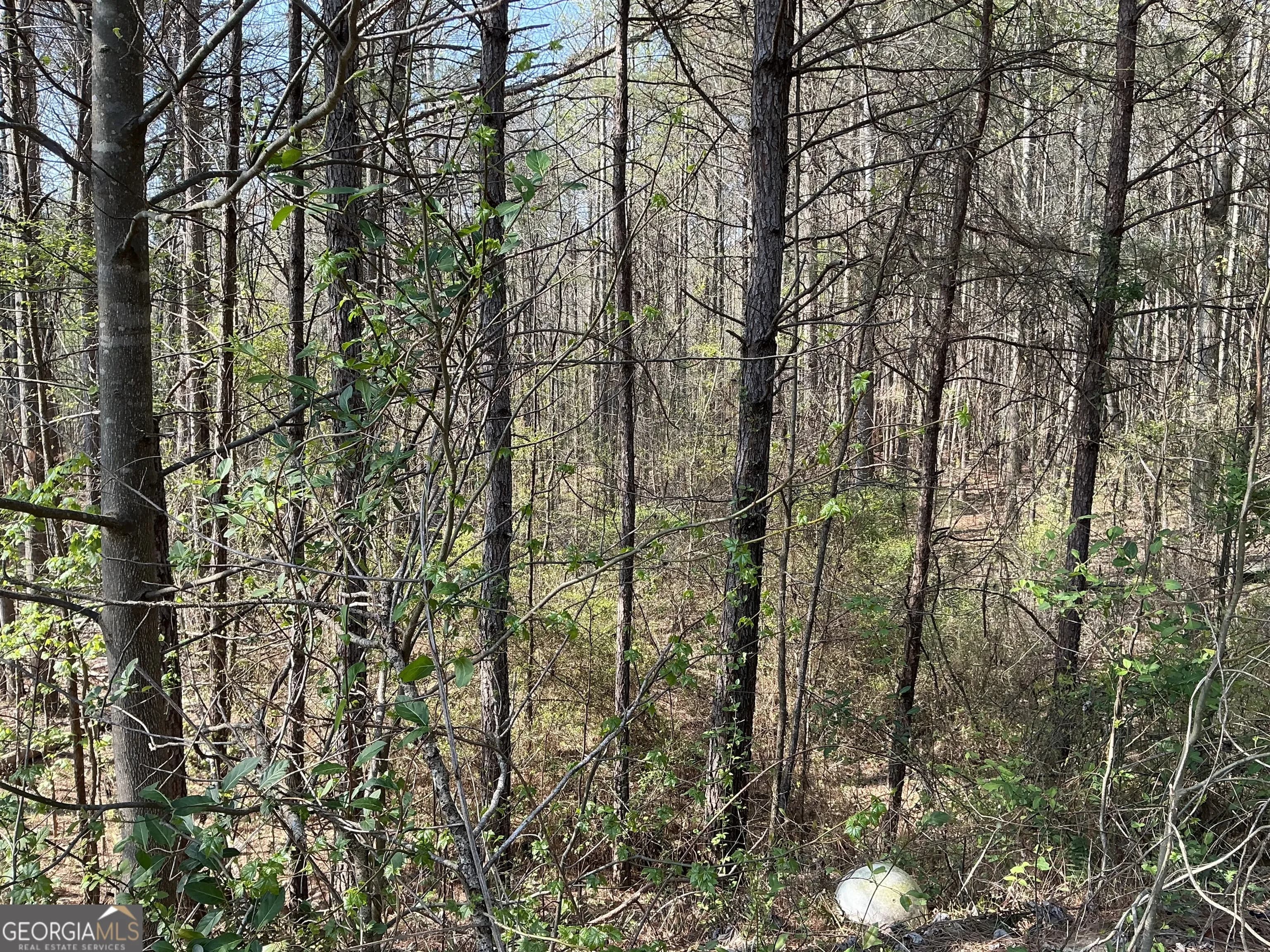 262 White Creek Loop — photo 2 of 8