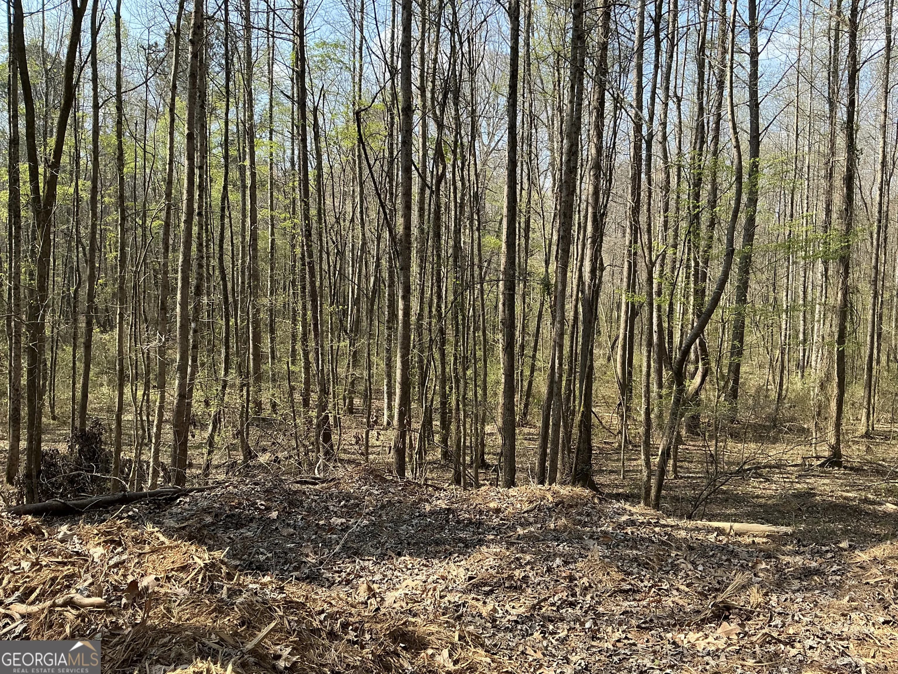 262 White Creek Loop — photo 6 of 8