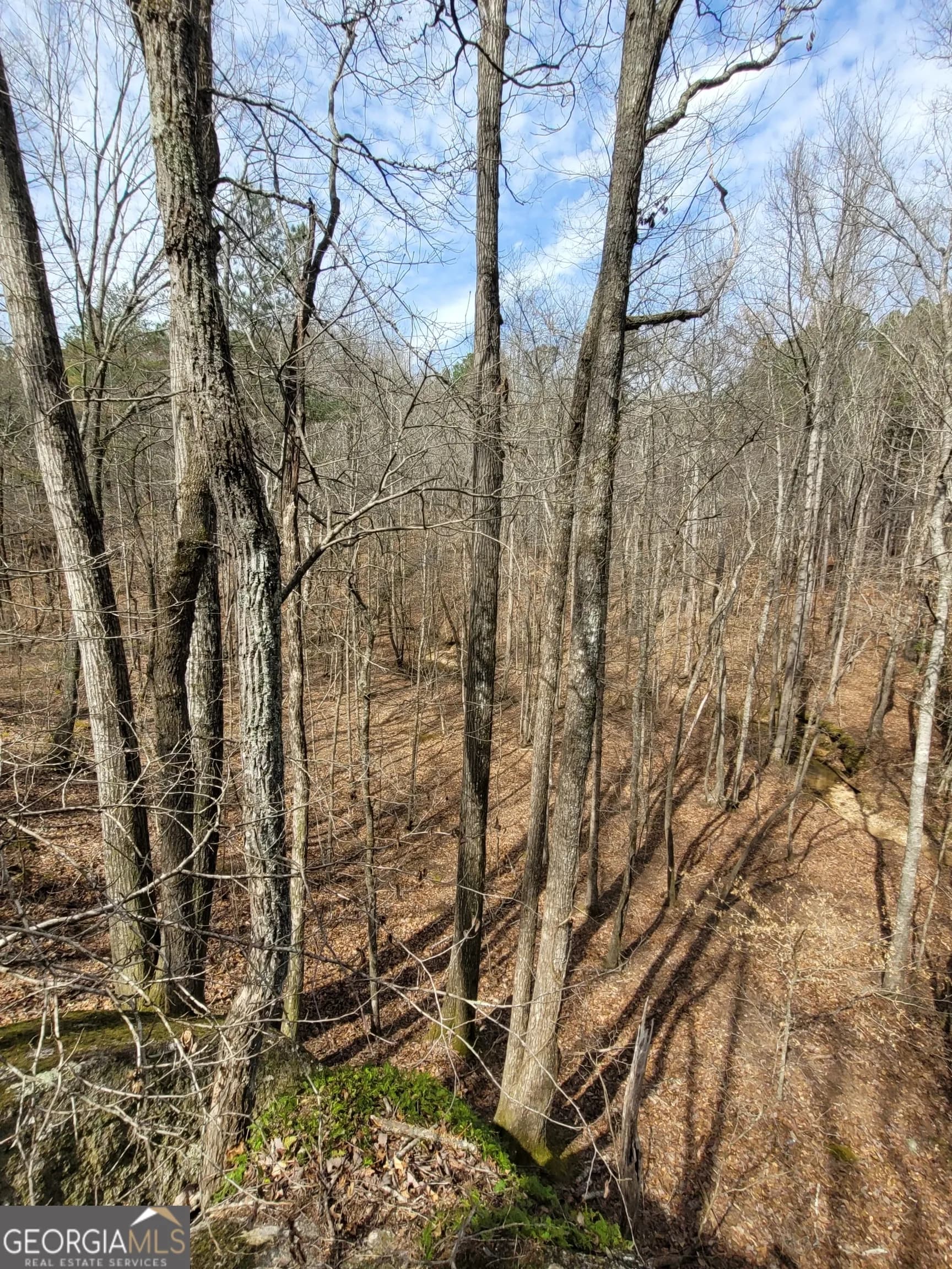 2600 Mcpherson Church Rd — photo 20 of 24