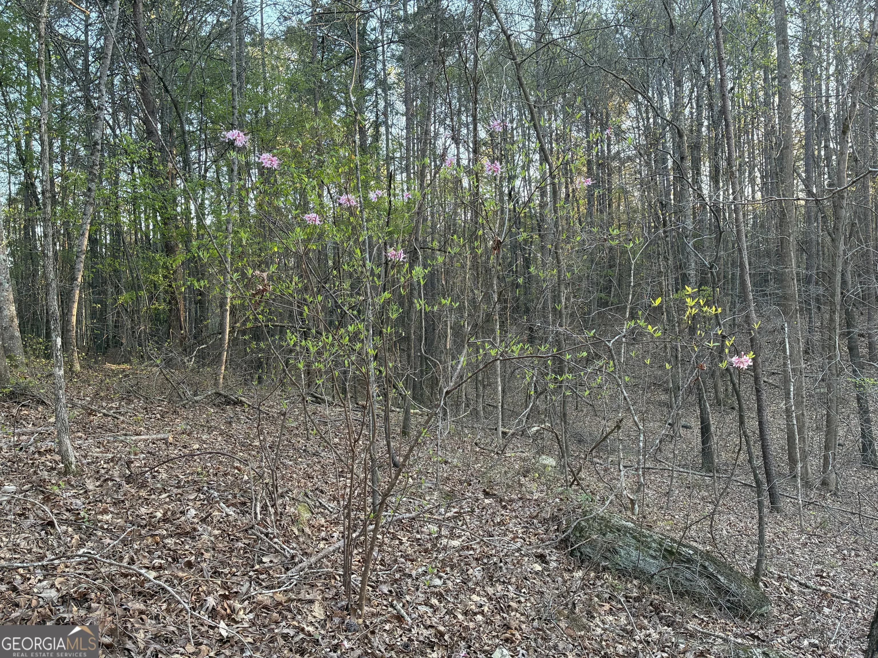 2600 Mcpherson Church Rd — photo 12 of 24