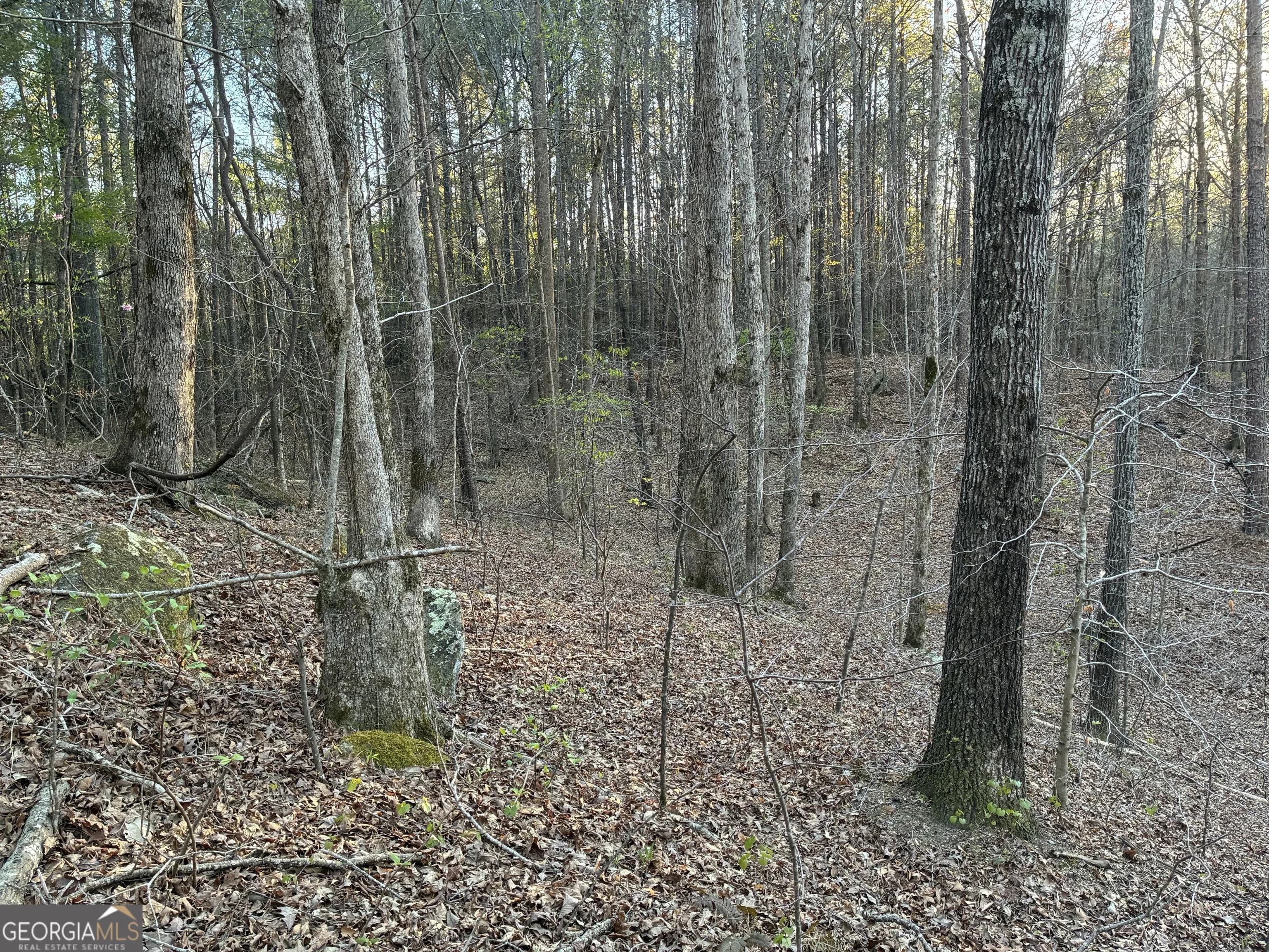 2600 Mcpherson Church Rd — photo 16 of 24