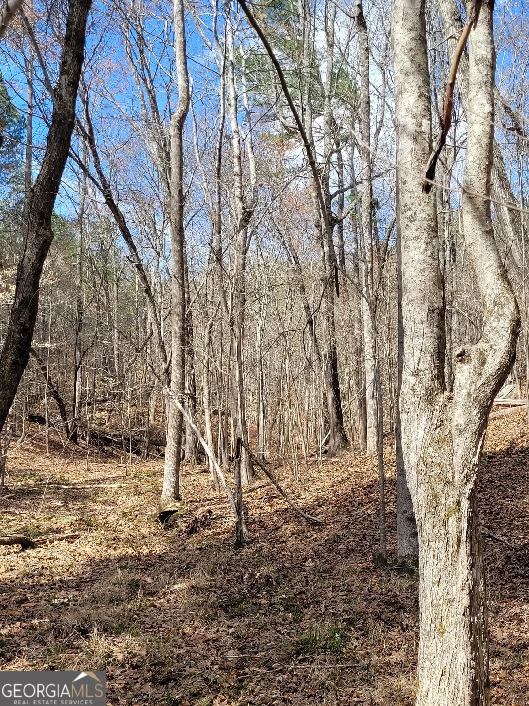 2600 Mcpherson Church Rd — photo 8 of 24
