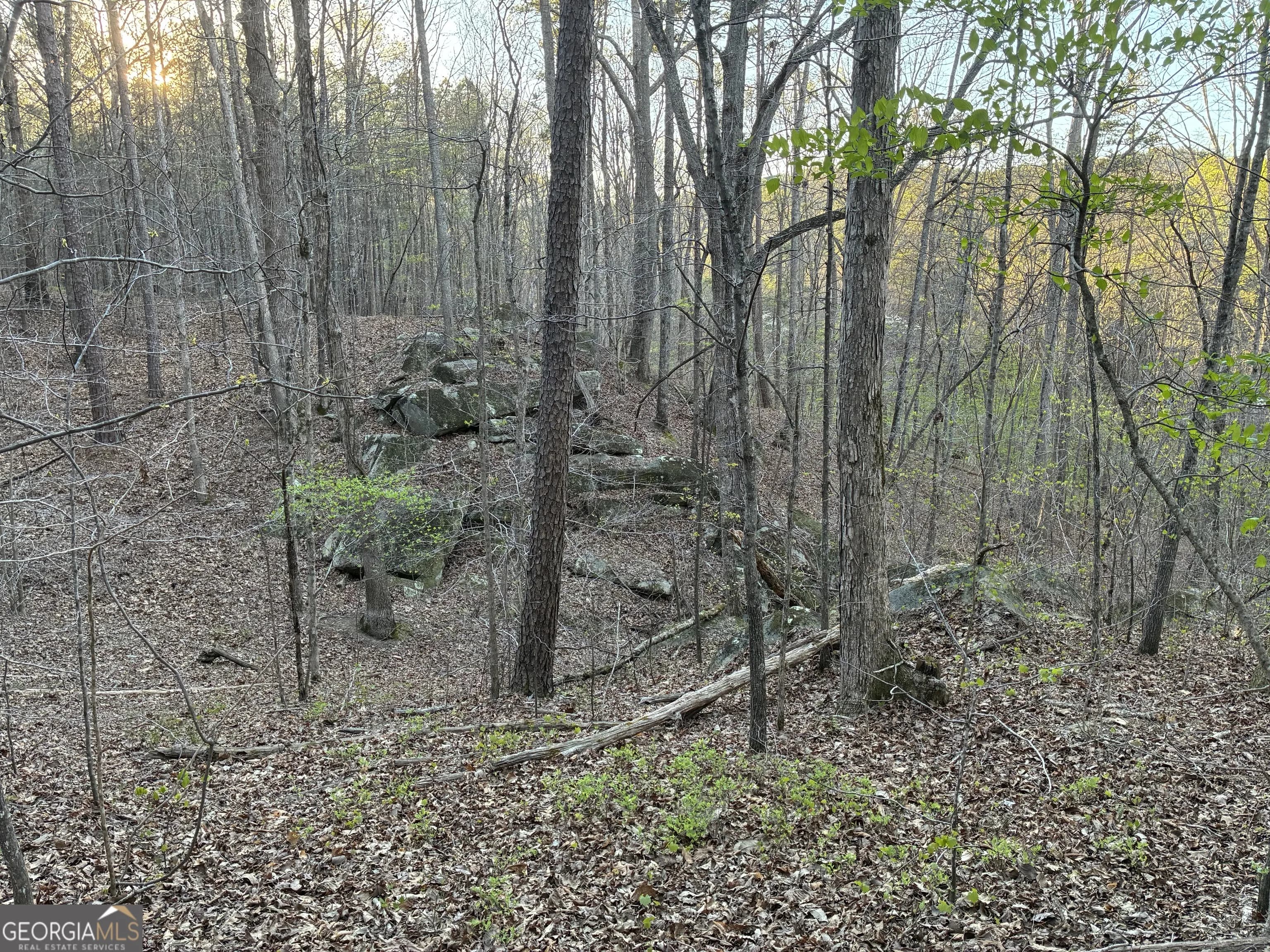 2600 Mcpherson Church Rd — photo 17 of 24