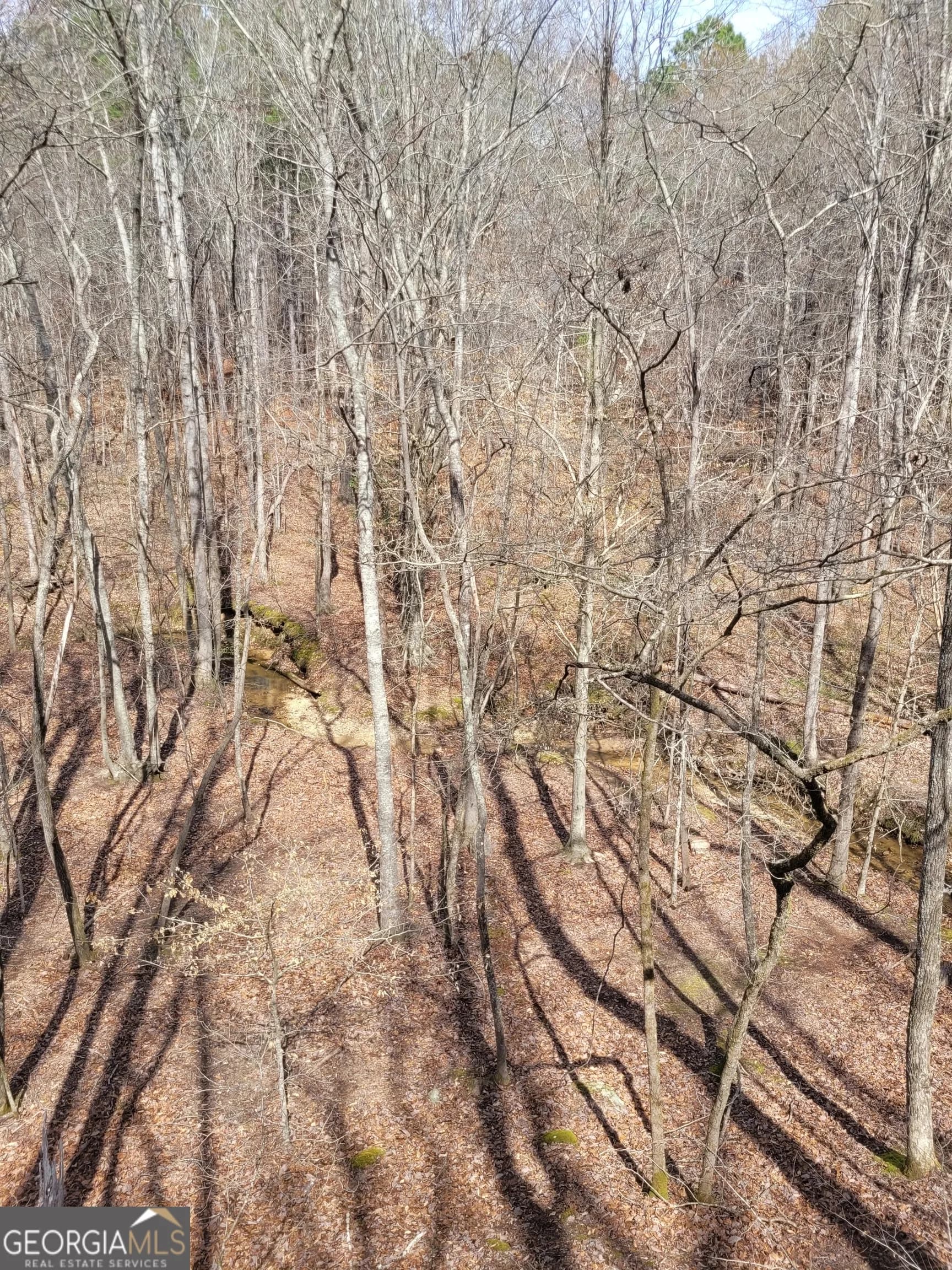 2600 Mcpherson Church Rd — photo 2 of 24