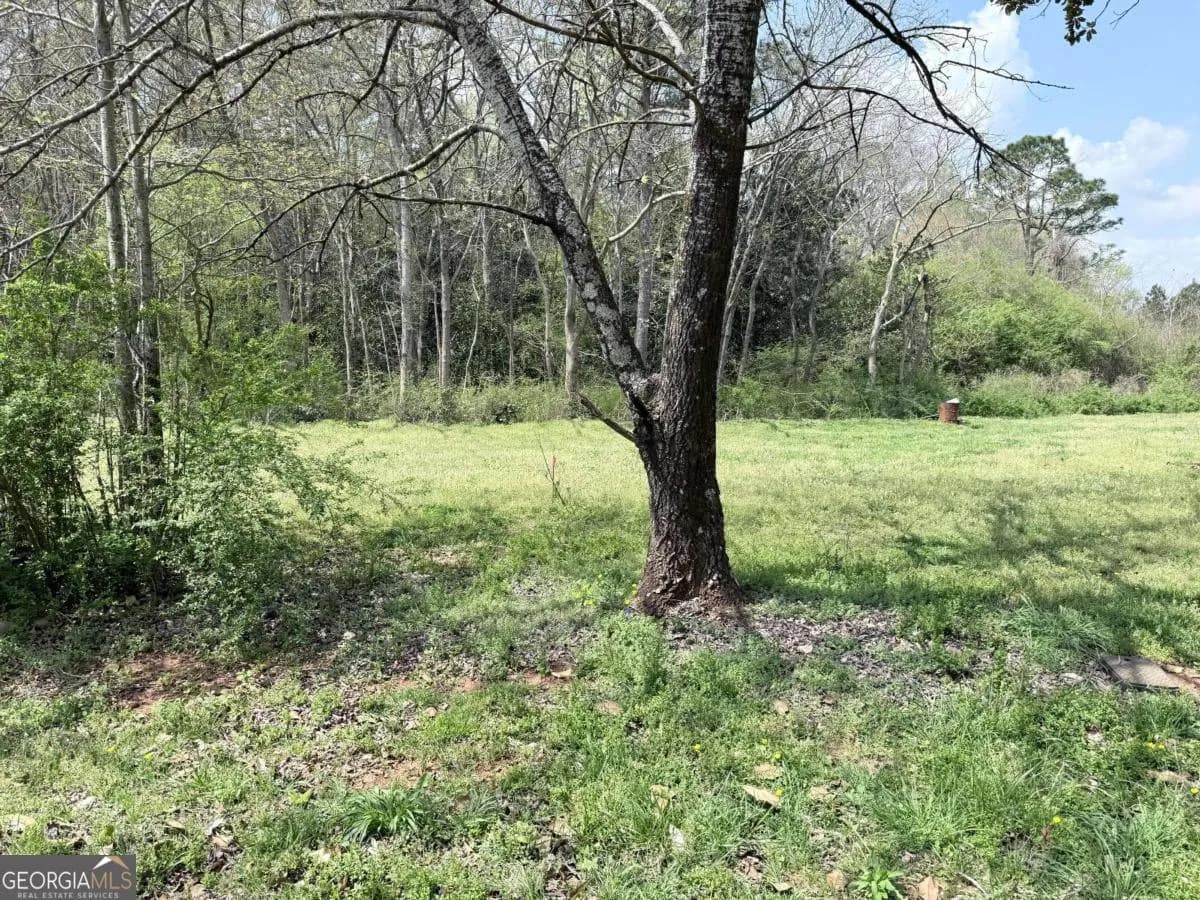 0 Old Columbus Rd — photo 4 of 9