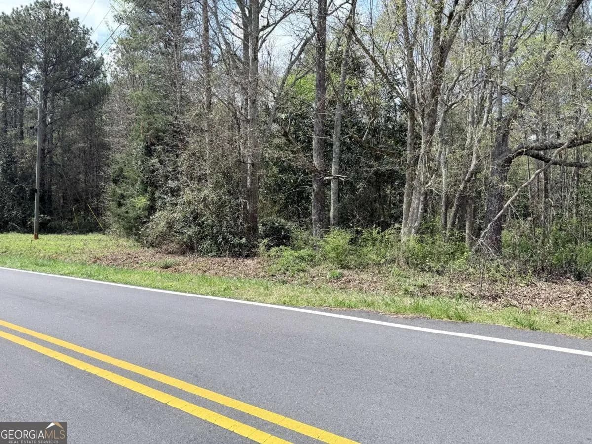 0 Old Columbus Rd — photo 5 of 9