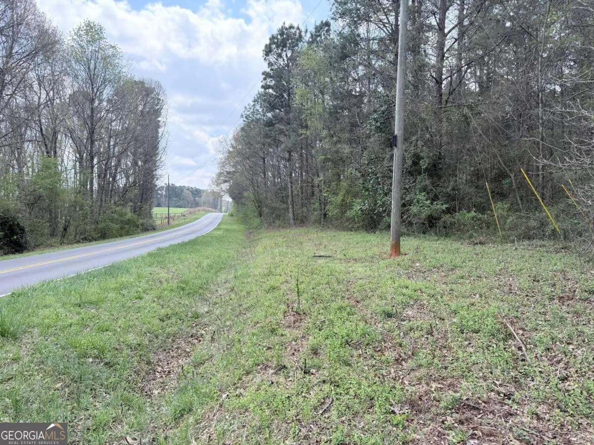 0 Old Columbus Rd — photo 2 of 9