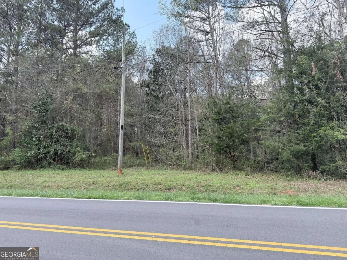 0 Old Columbus Rd — photo 3 of 9