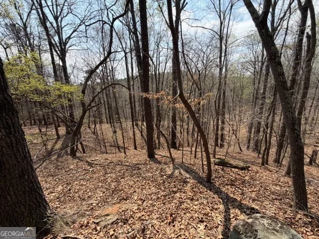 0 Franklin Pkwy — photo 38 of 47