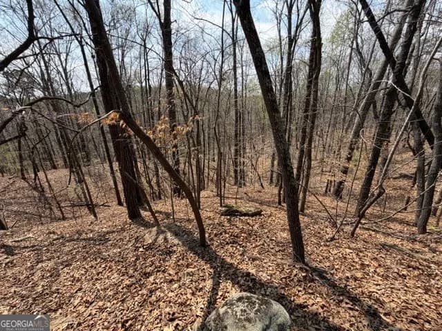 0 Franklin Pkwy — photo 39 of 47