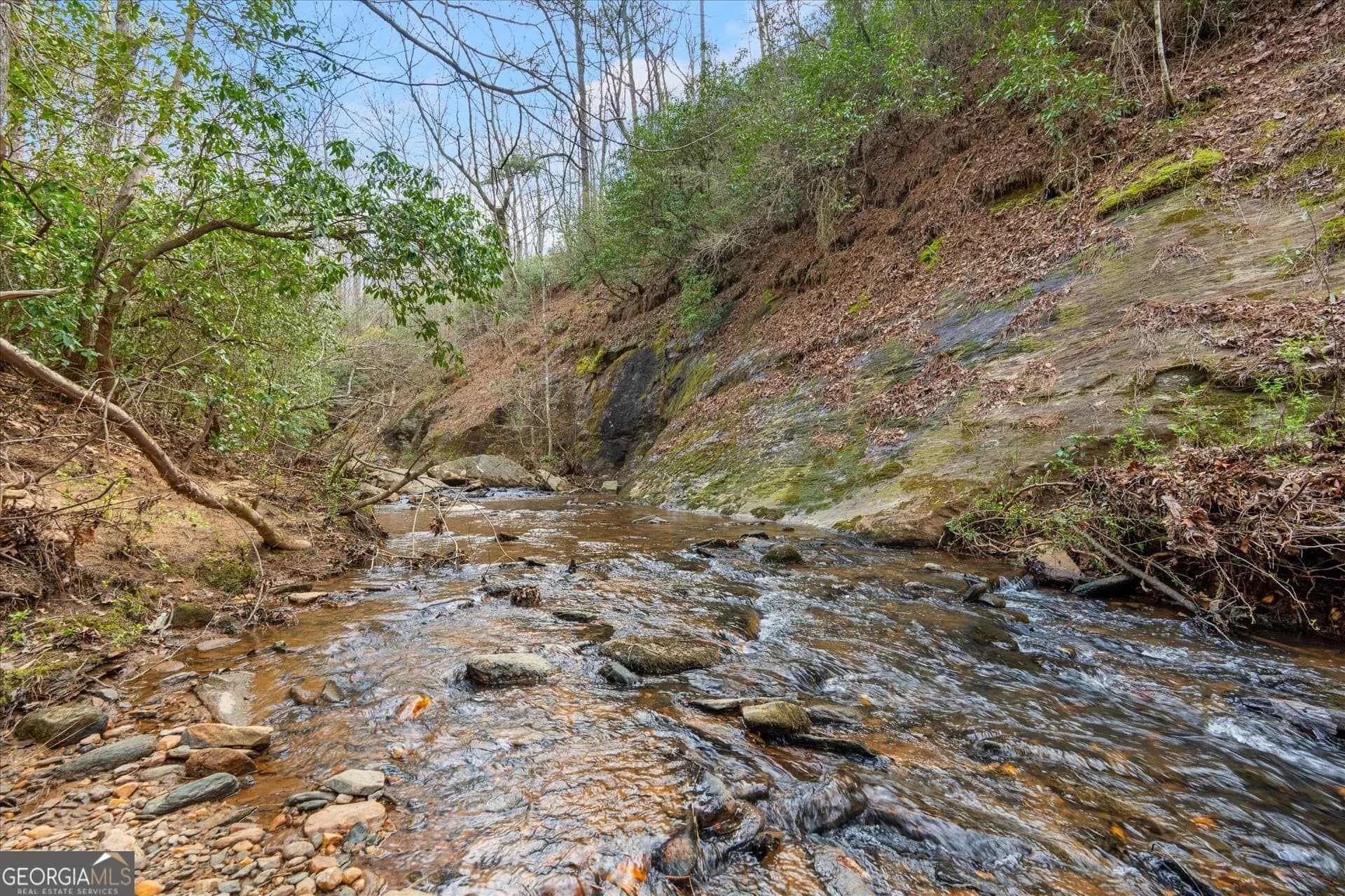 1290 Davis Rd — photo 12 of 53
