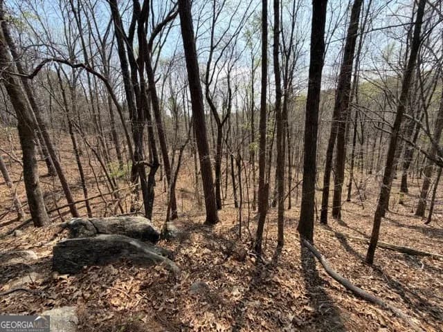 0 Franklin Pkwy — photo 11 of 26