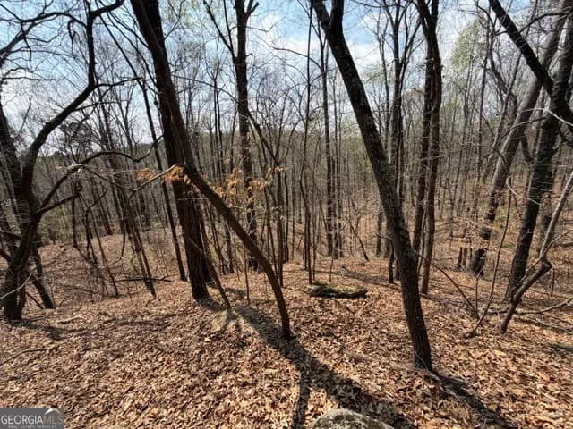 0 Franklin Pkwy — photo 9 of 26