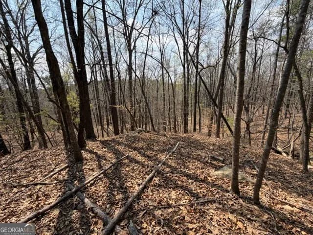 0 Franklin Pkwy — photo 7 of 26