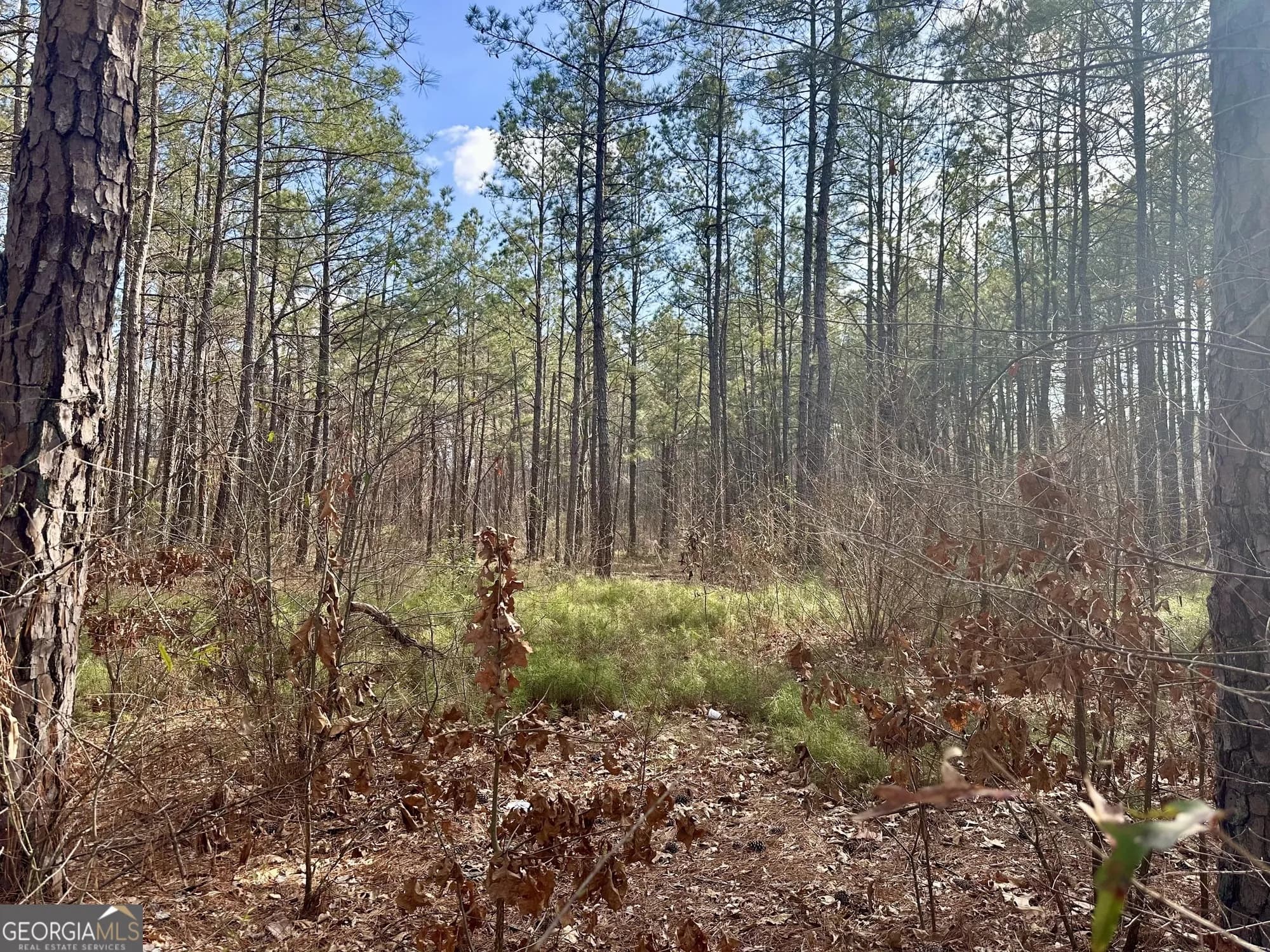 10891 Veterans Memorial Hwy — photo 9 of 21