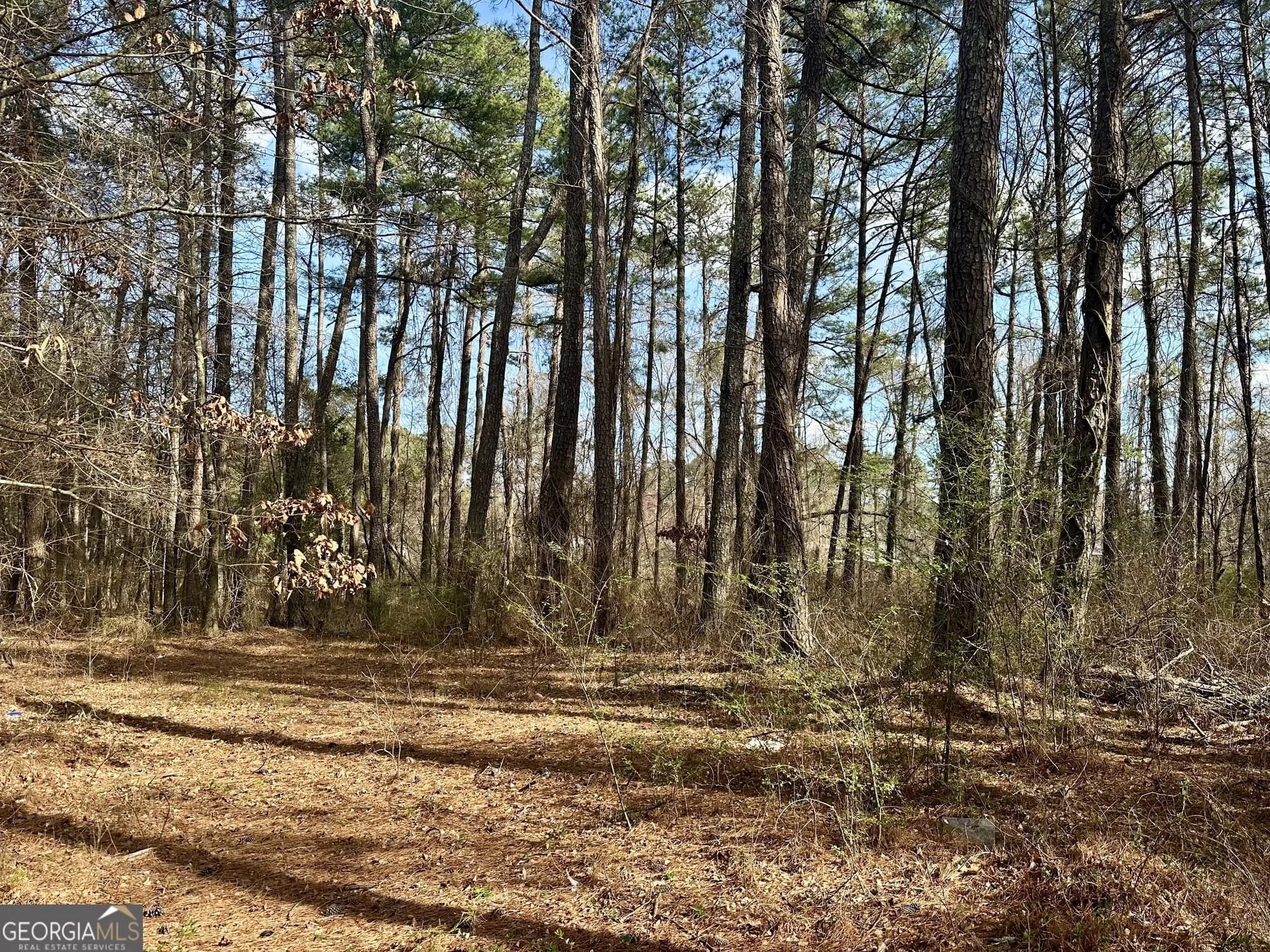10891 Veterans Memorial Hwy — photo 10 of 21