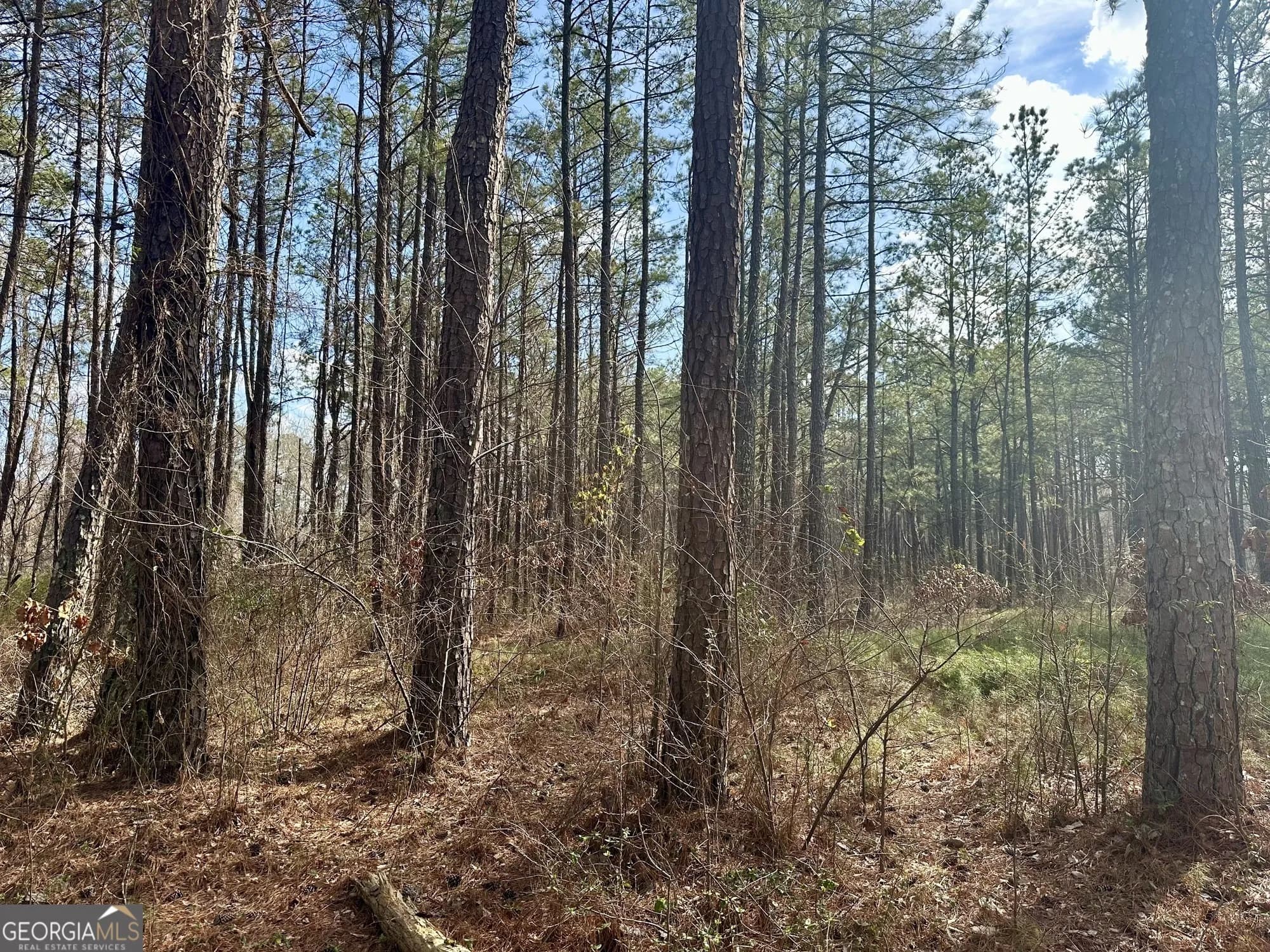 10891 Veterans Memorial Hwy — photo 11 of 21