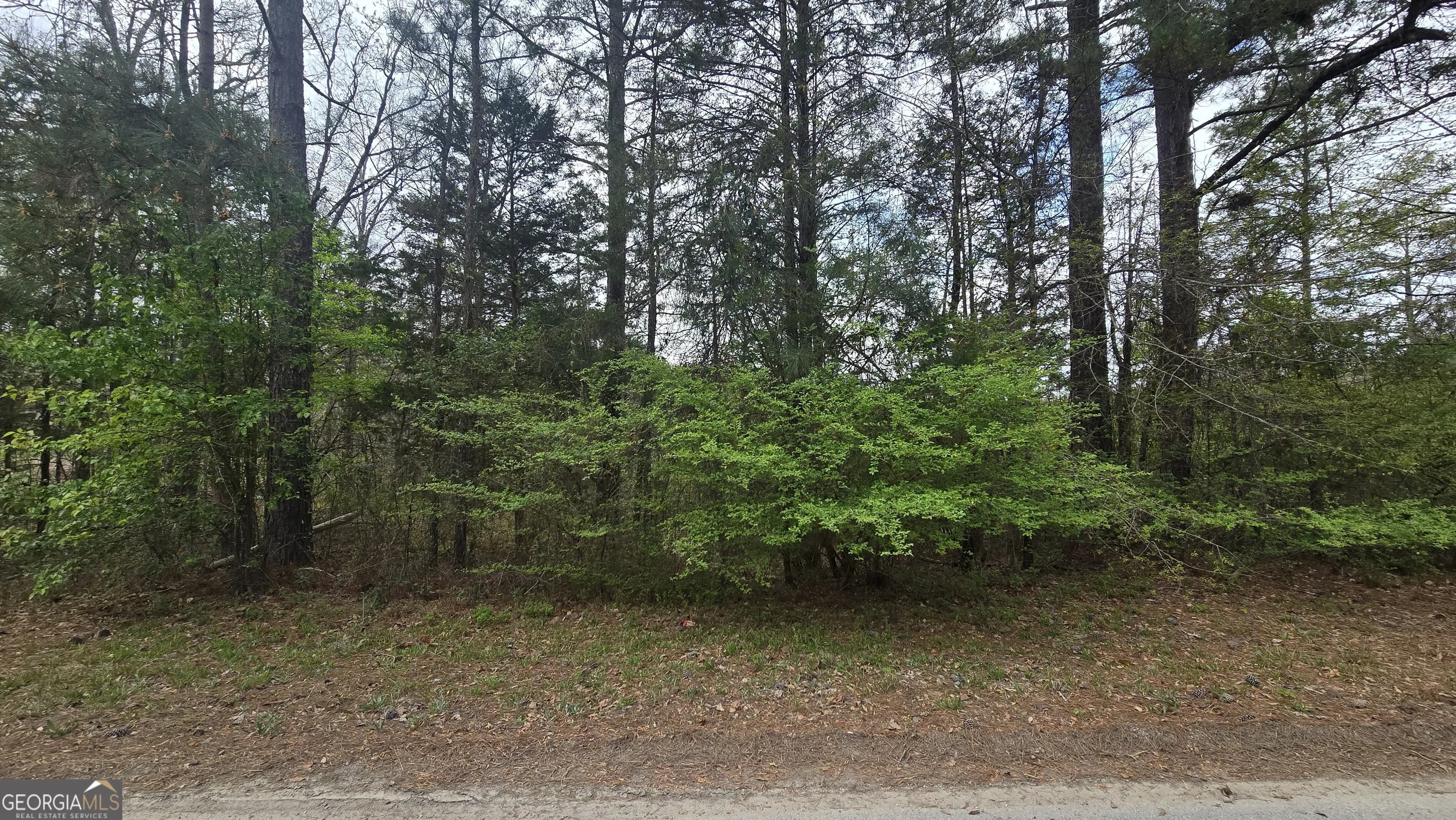 0 Cherry Rd — photo 5 of 12