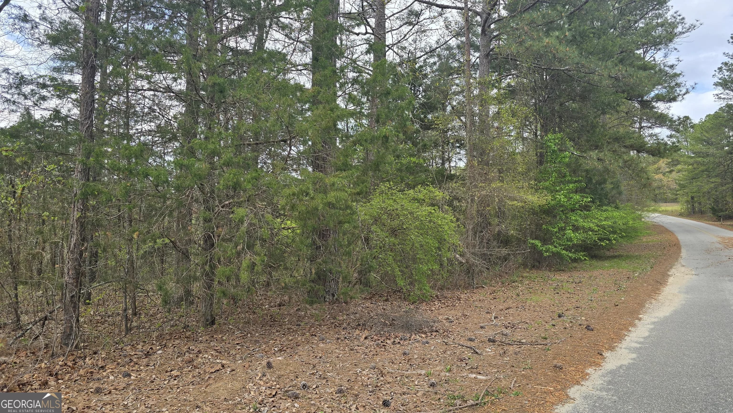 0 Cherry Rd — photo 6 of 12