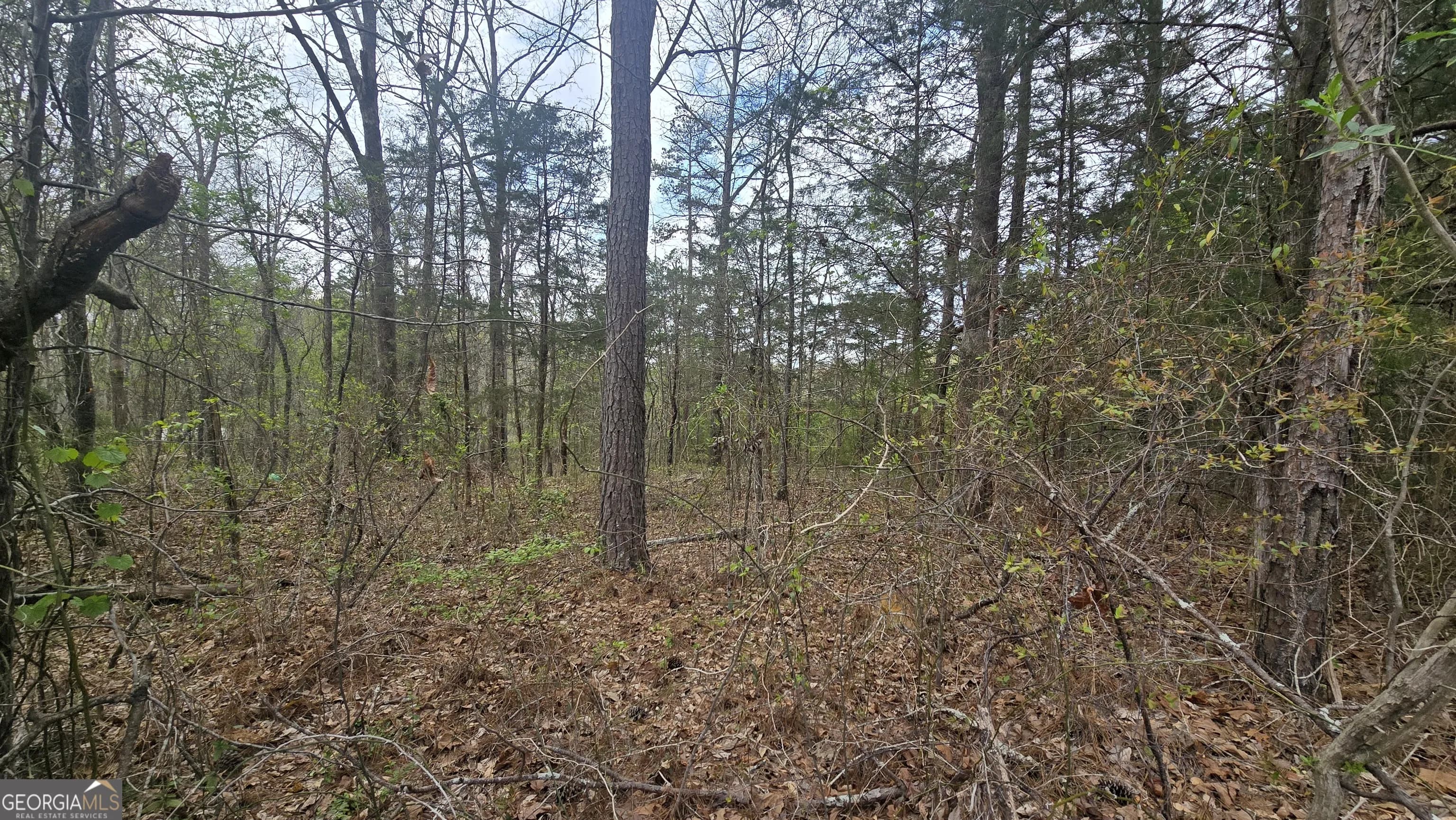 0 Cherry Rd — photo 10 of 12