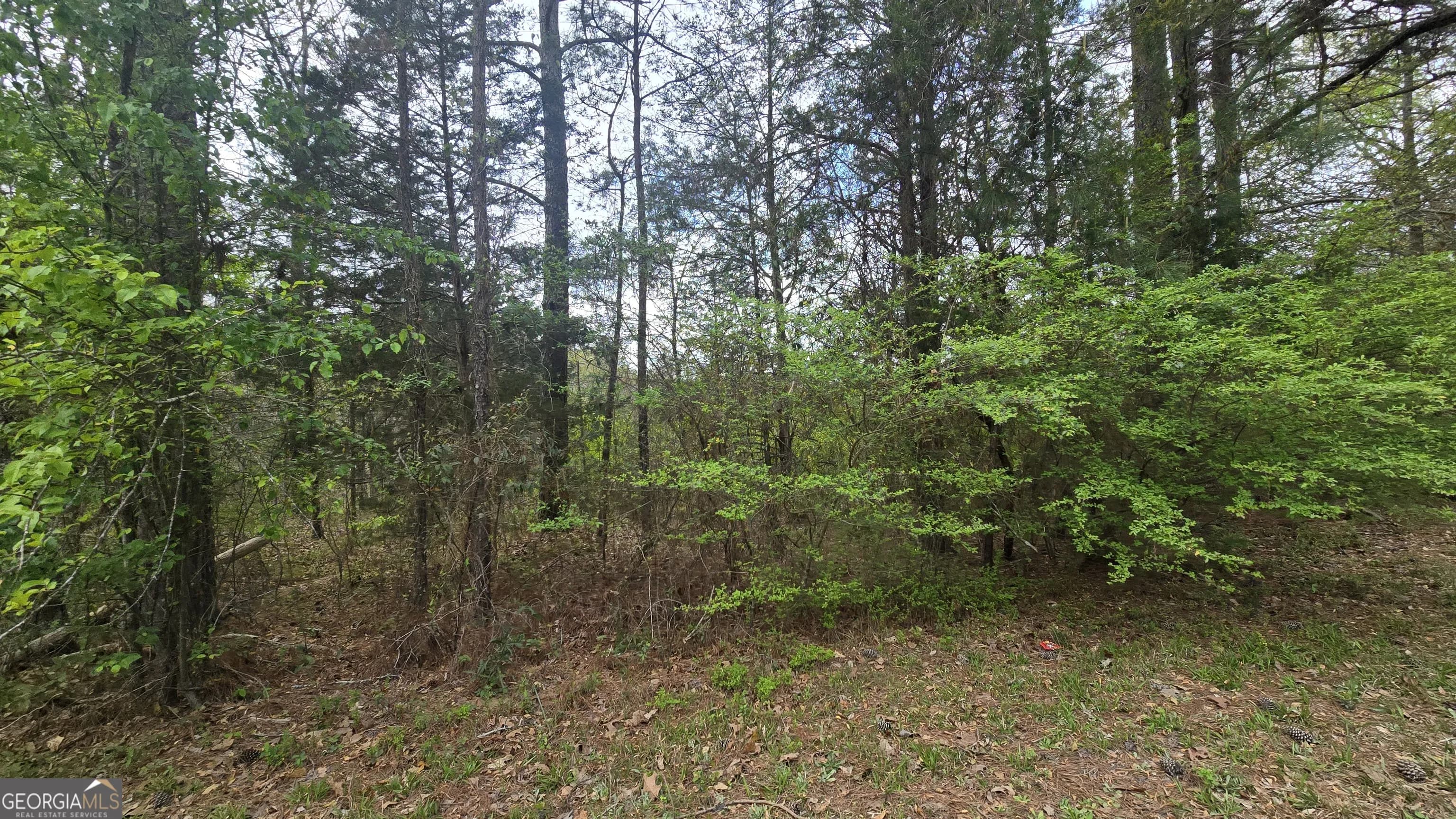 0 Cherry Rd — photo 11 of 12