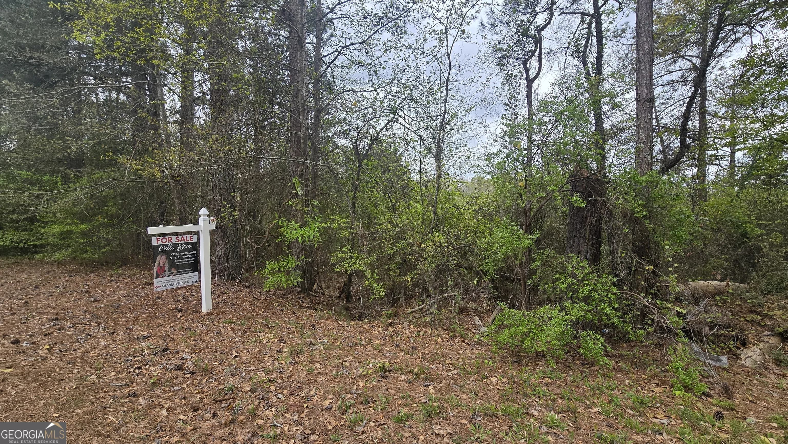 0 Cherry Rd — photo 4 of 12