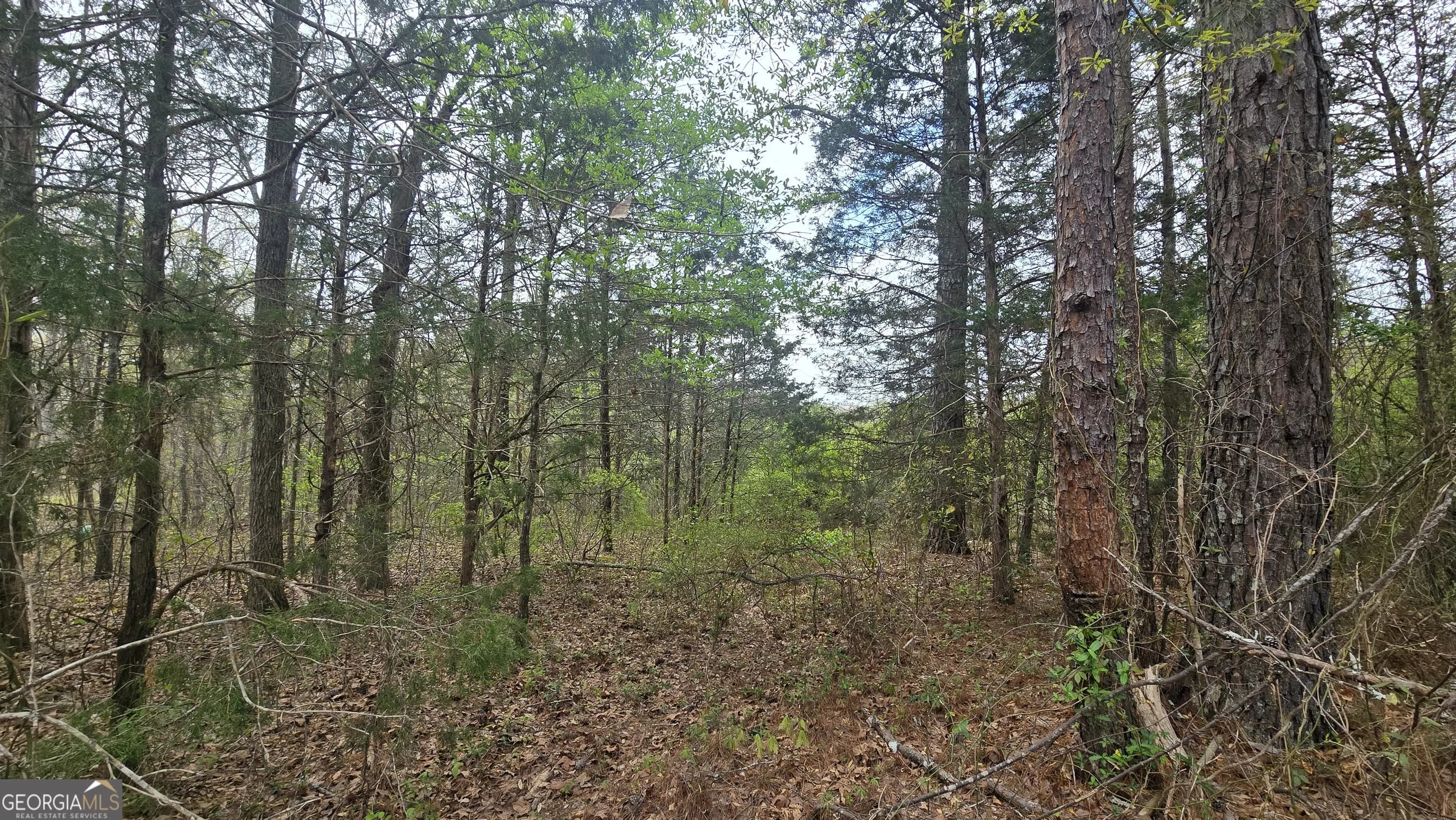 0 Cherry Rd — photo 9 of 12